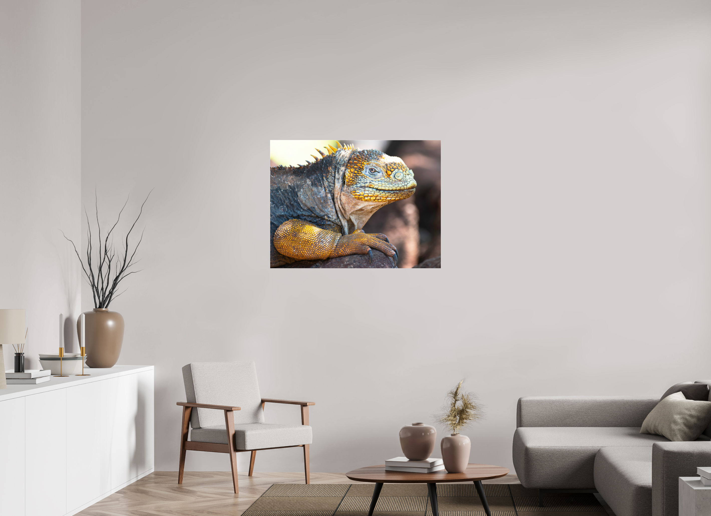 100 x 75 cm, Photo Print Under Acrylic Glass Galapagos Land Iguana (no frame)