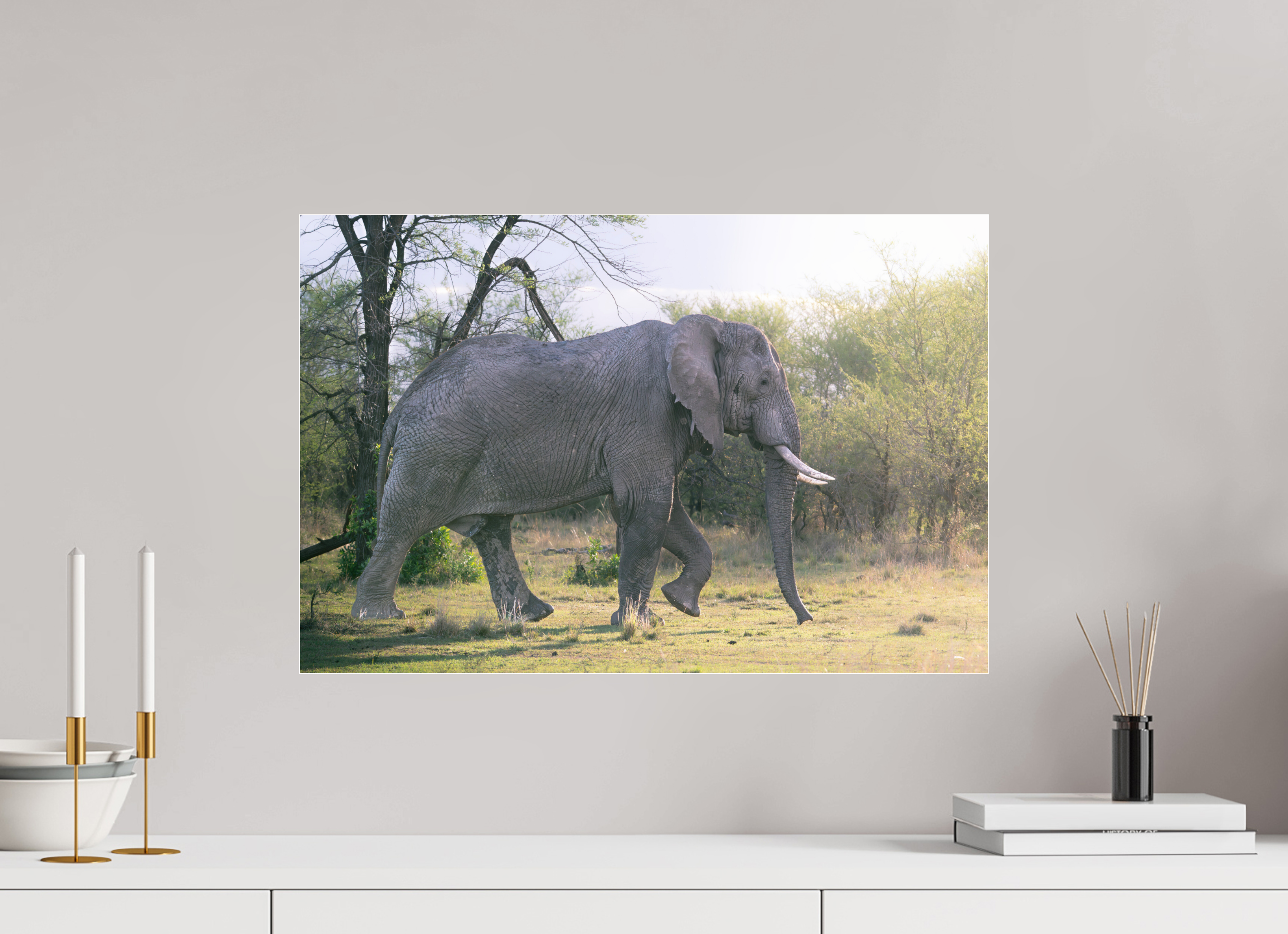 60 x 40 cm, Photo Print Under Acrylic Glass Walking giant (no frame)