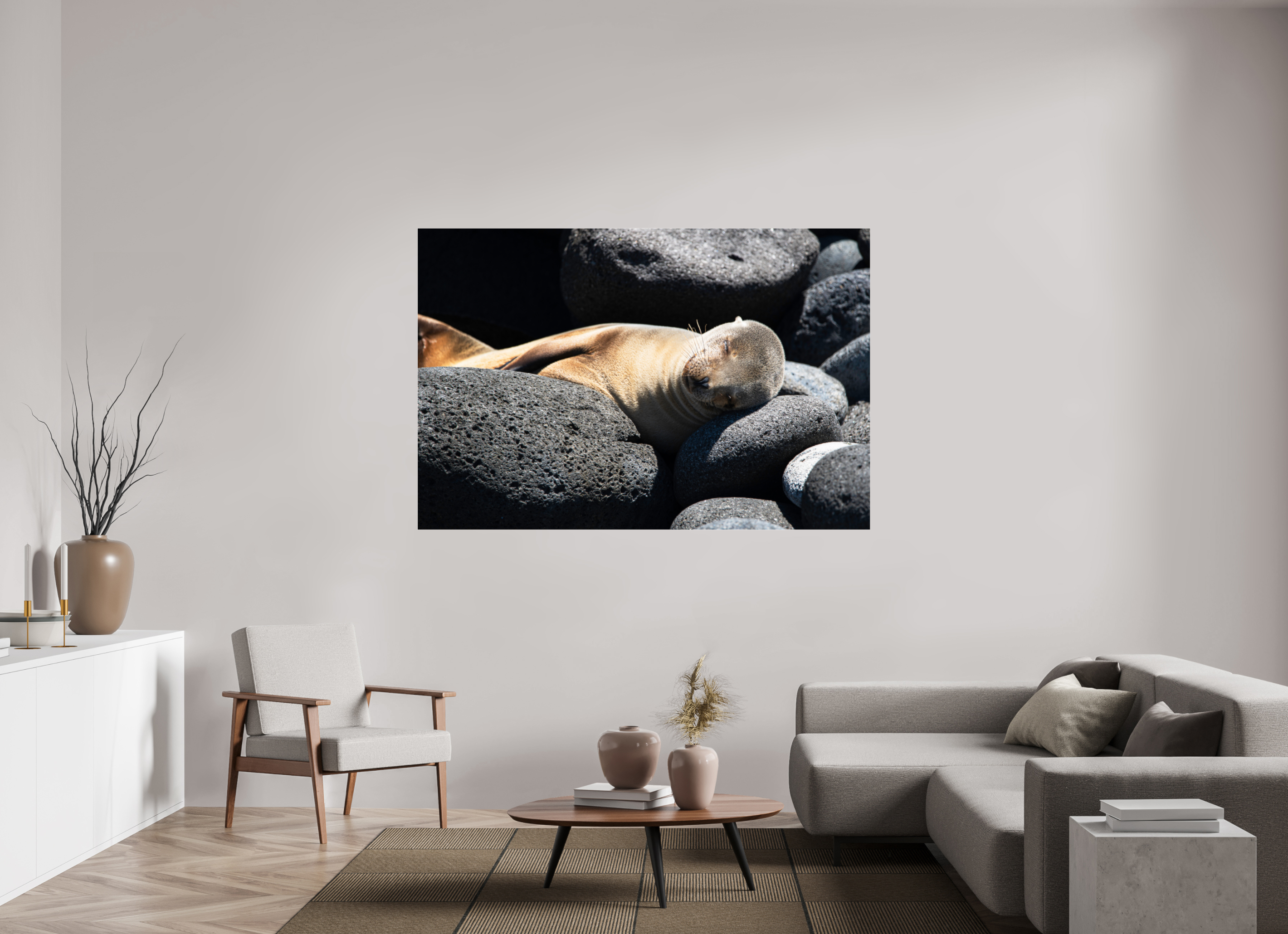 180 x 120 cm, Photo Print Under Acrylic Glass Galapagos Sea Lion