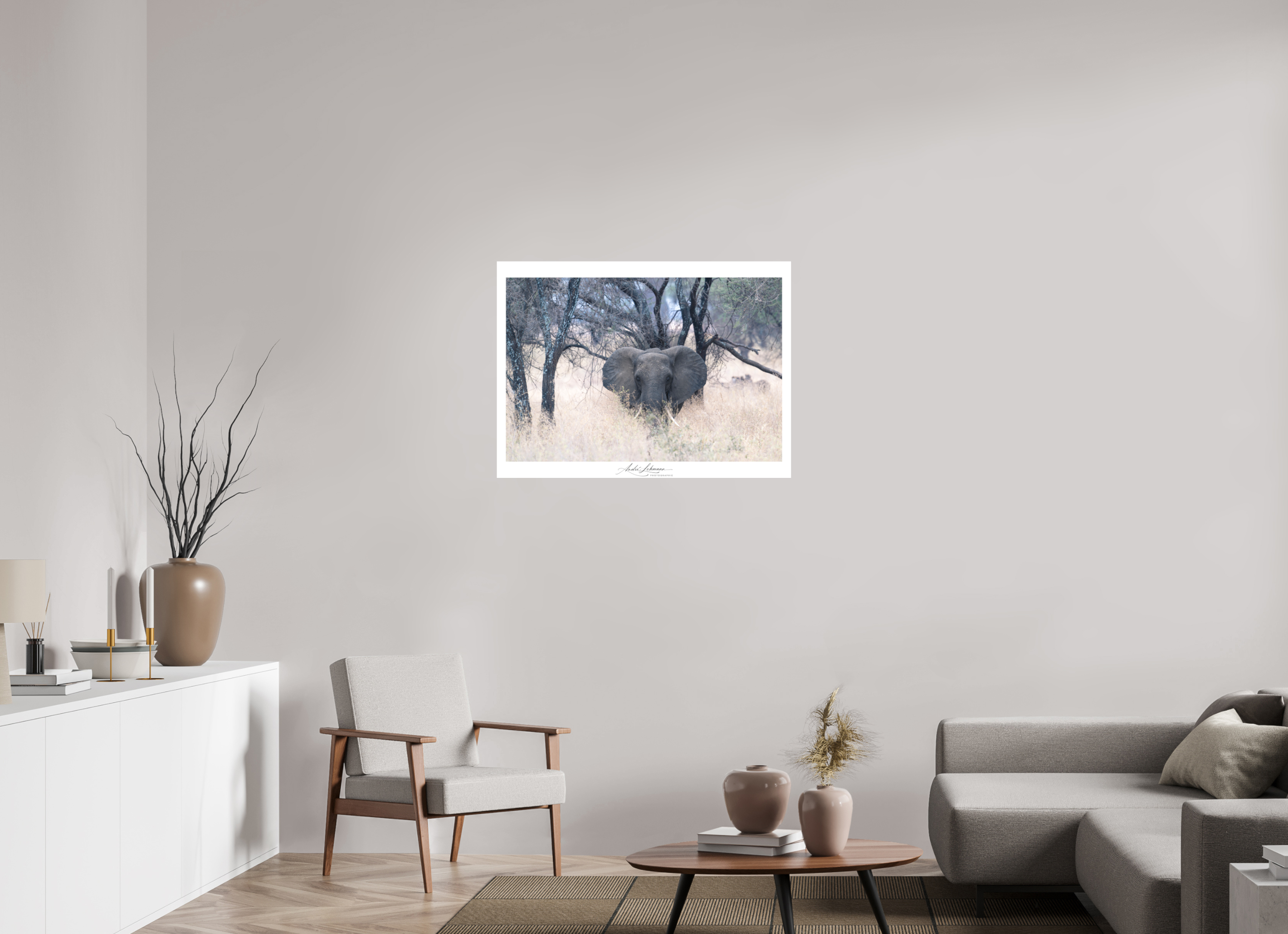 95.1 x 70 cm, Foto-Druck auf Alu-Dibond African Elephant