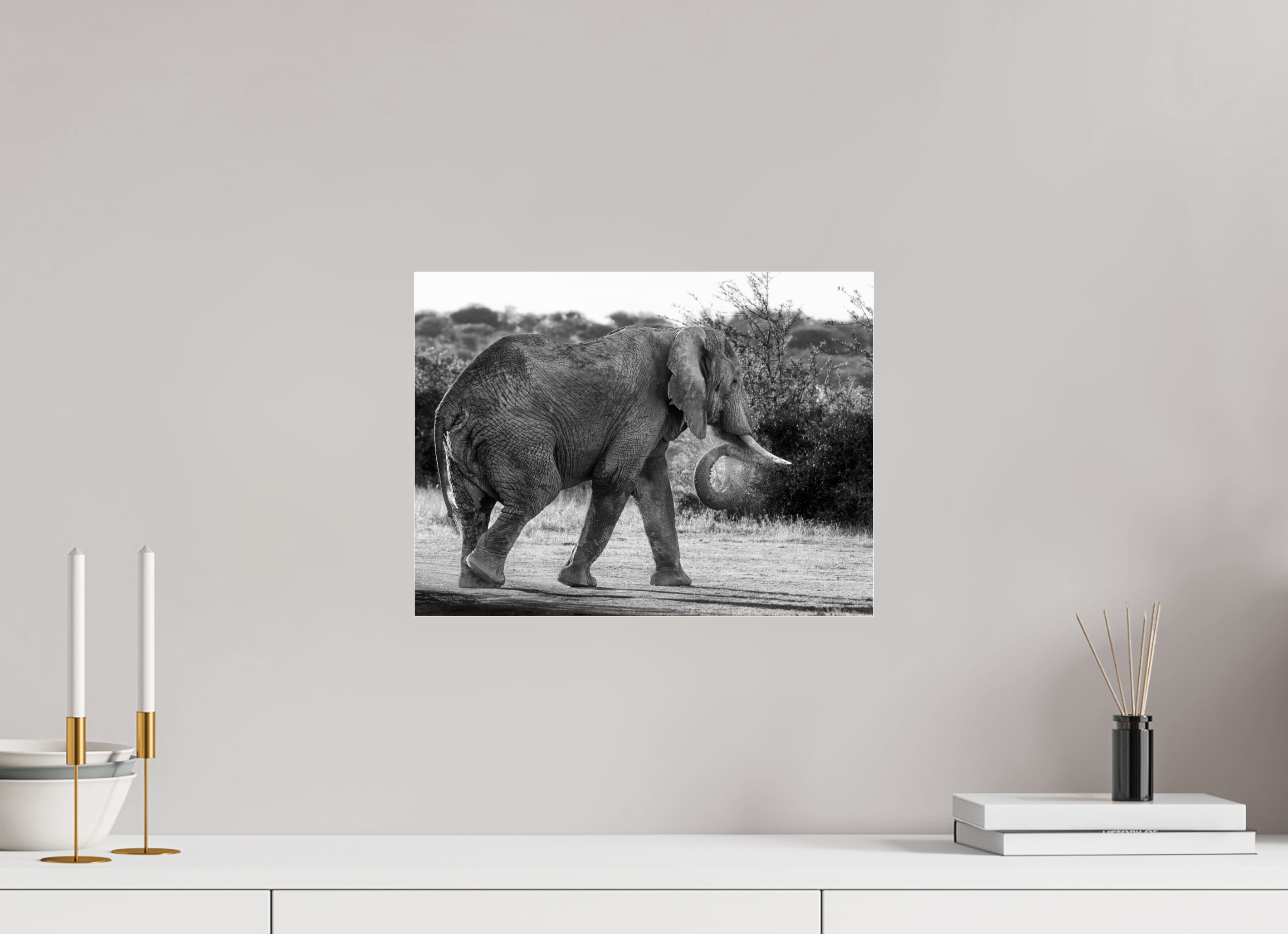 40 x 30 cm, Photo Print Under Acrylic Glass Elephant black and white (no frame)