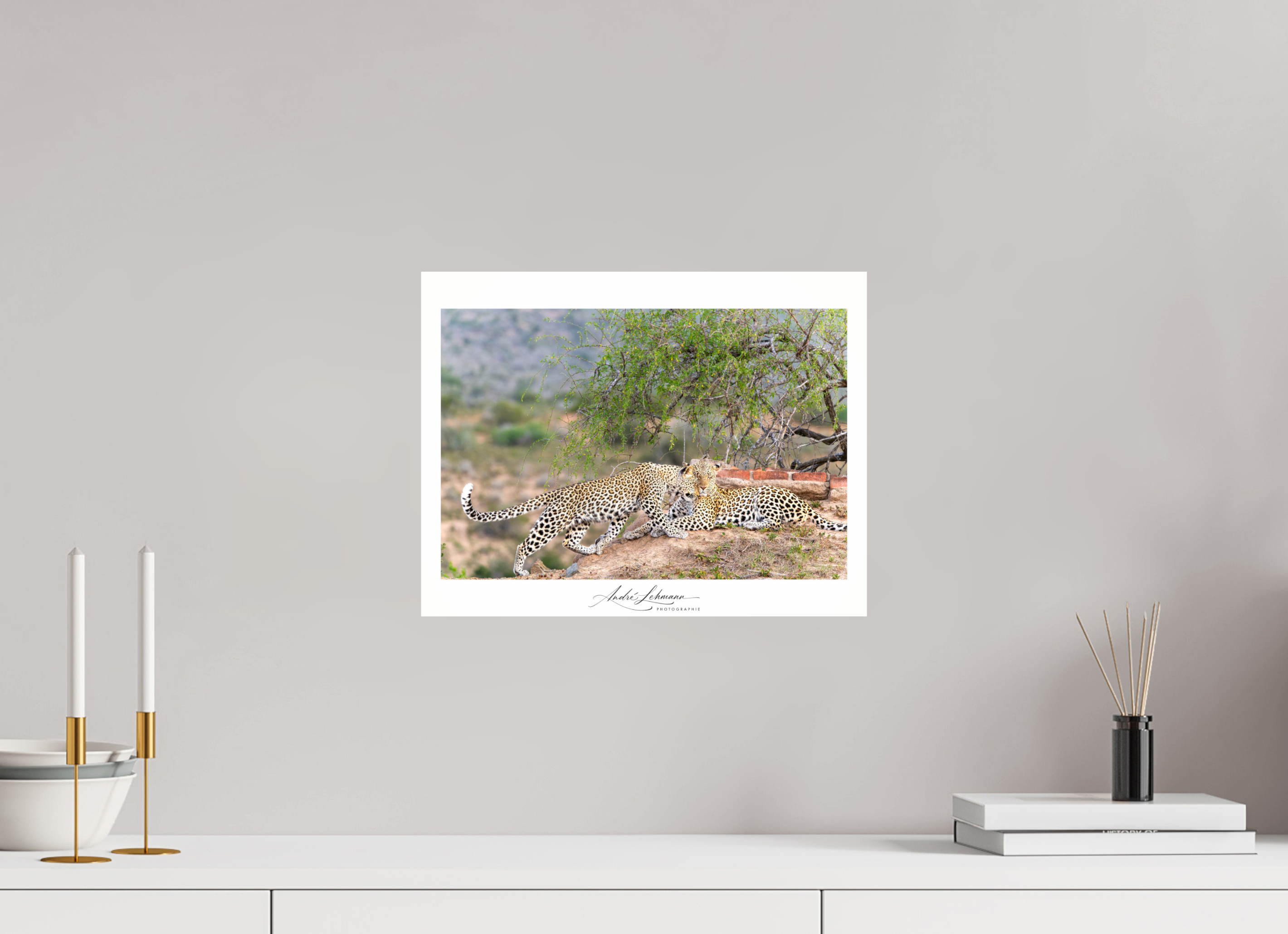38.8 x 30 cm, Photo Print Under Acrylic Glass Two Leopards
