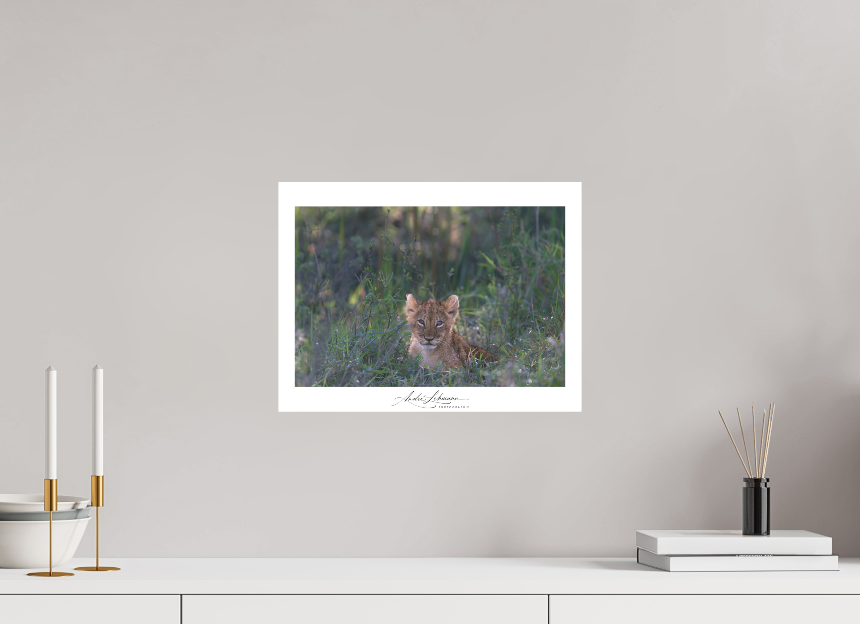 39.6 x 30 cm, Foto-Druck auf Alu-Dibond Lion Cub (Alu Dibond)