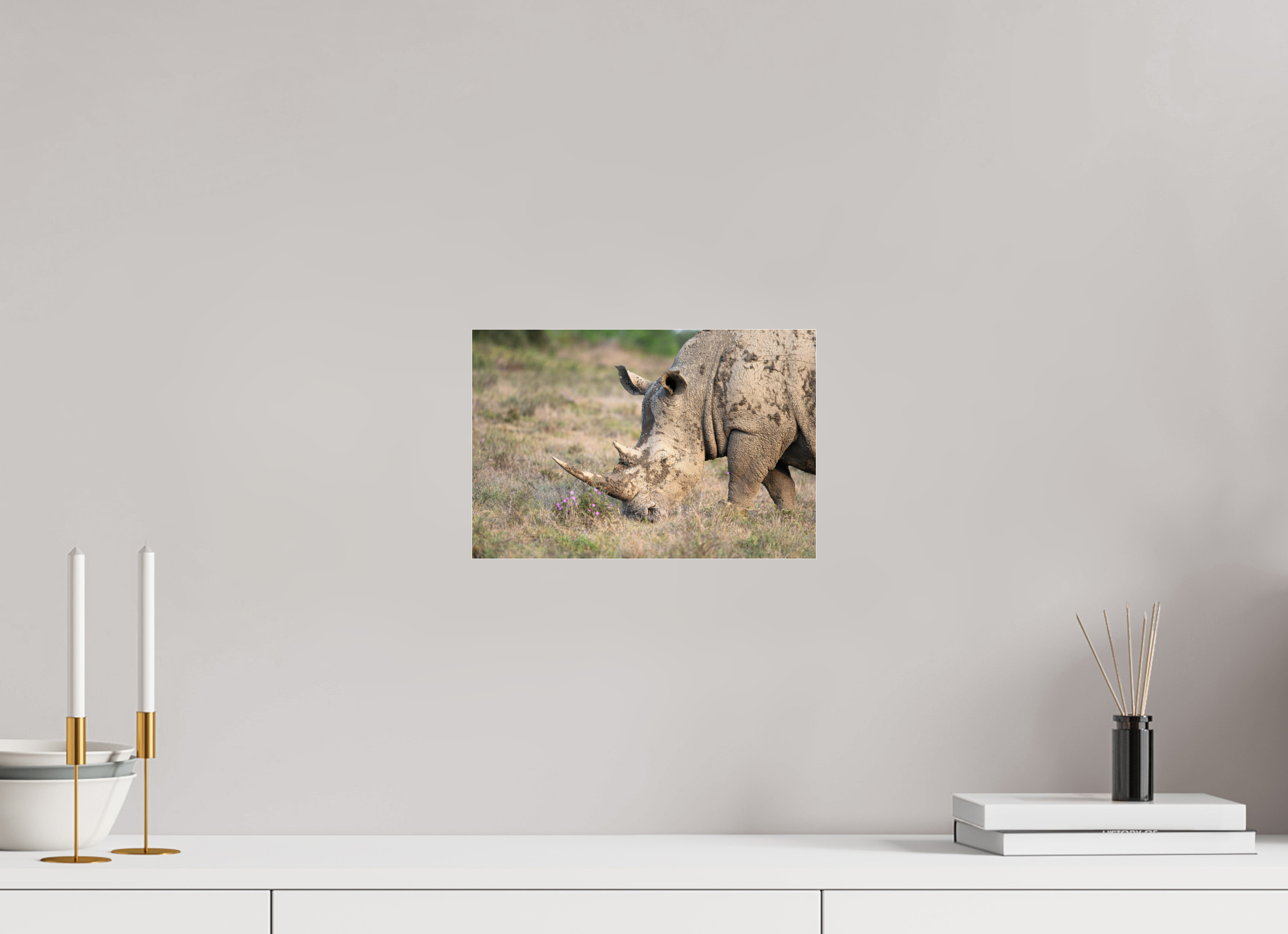 30 x 20 cm, Photo Print Under Acrylic Glass Rhino (no frame)