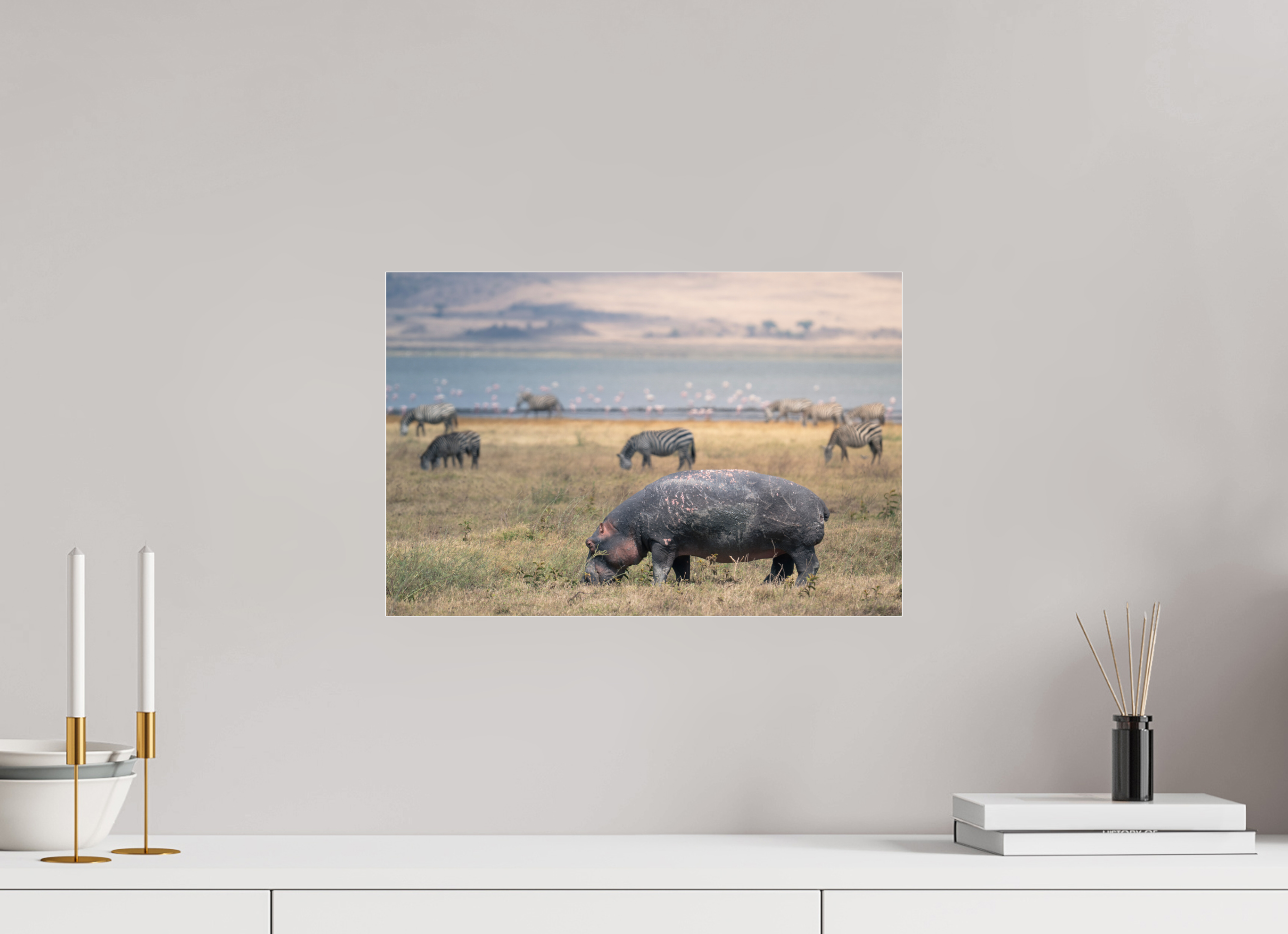 45 x 30 cm, Photo Print Under Acrylic Glass Hippo out of the water