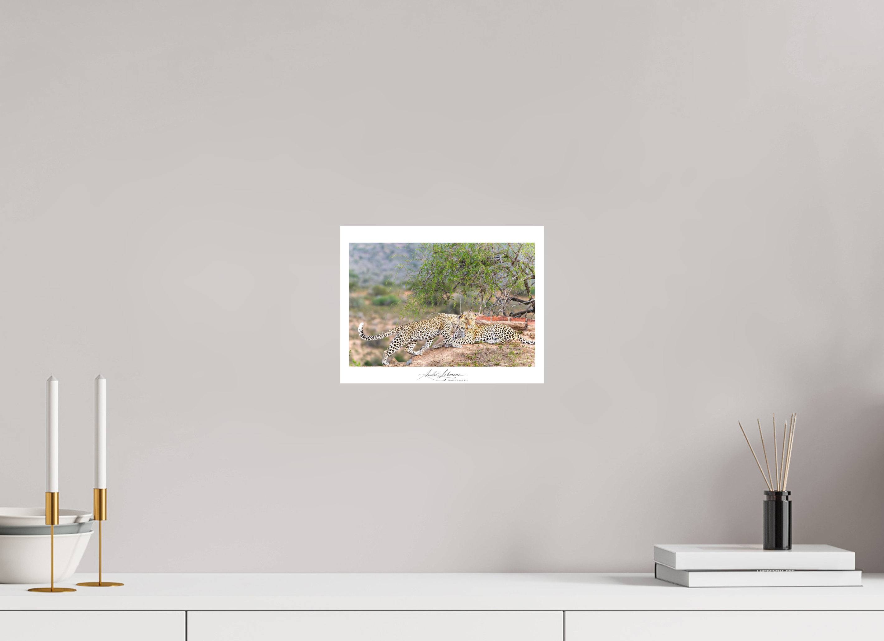 25.9 x 20 cm, Foto-Druck auf Alu-Dibond Two Leopards (Alu Dibond)