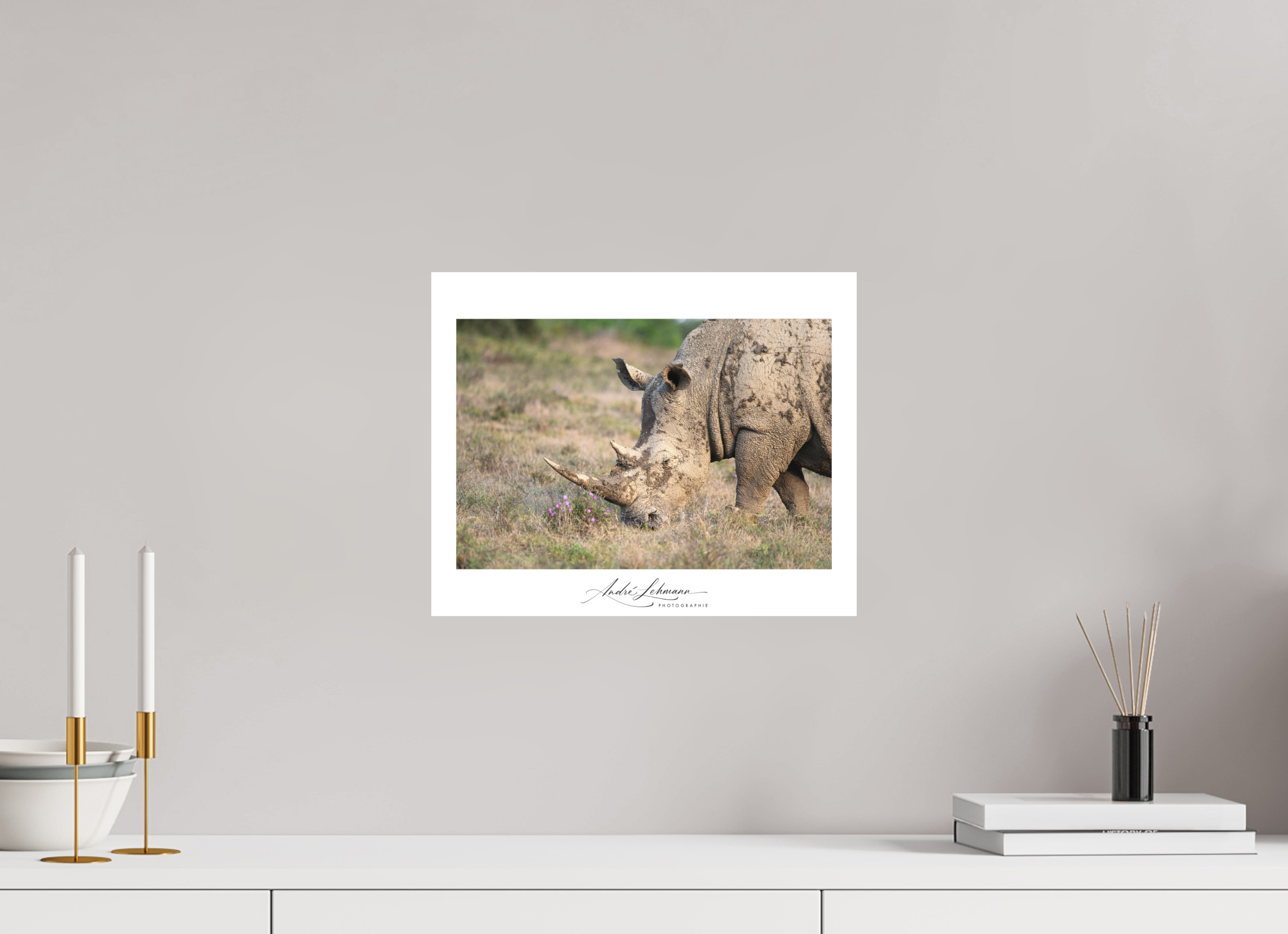37.1 x 30 cm, Foto-Druck auf Alu-Dibond White Rhino (Alu Dibond)
