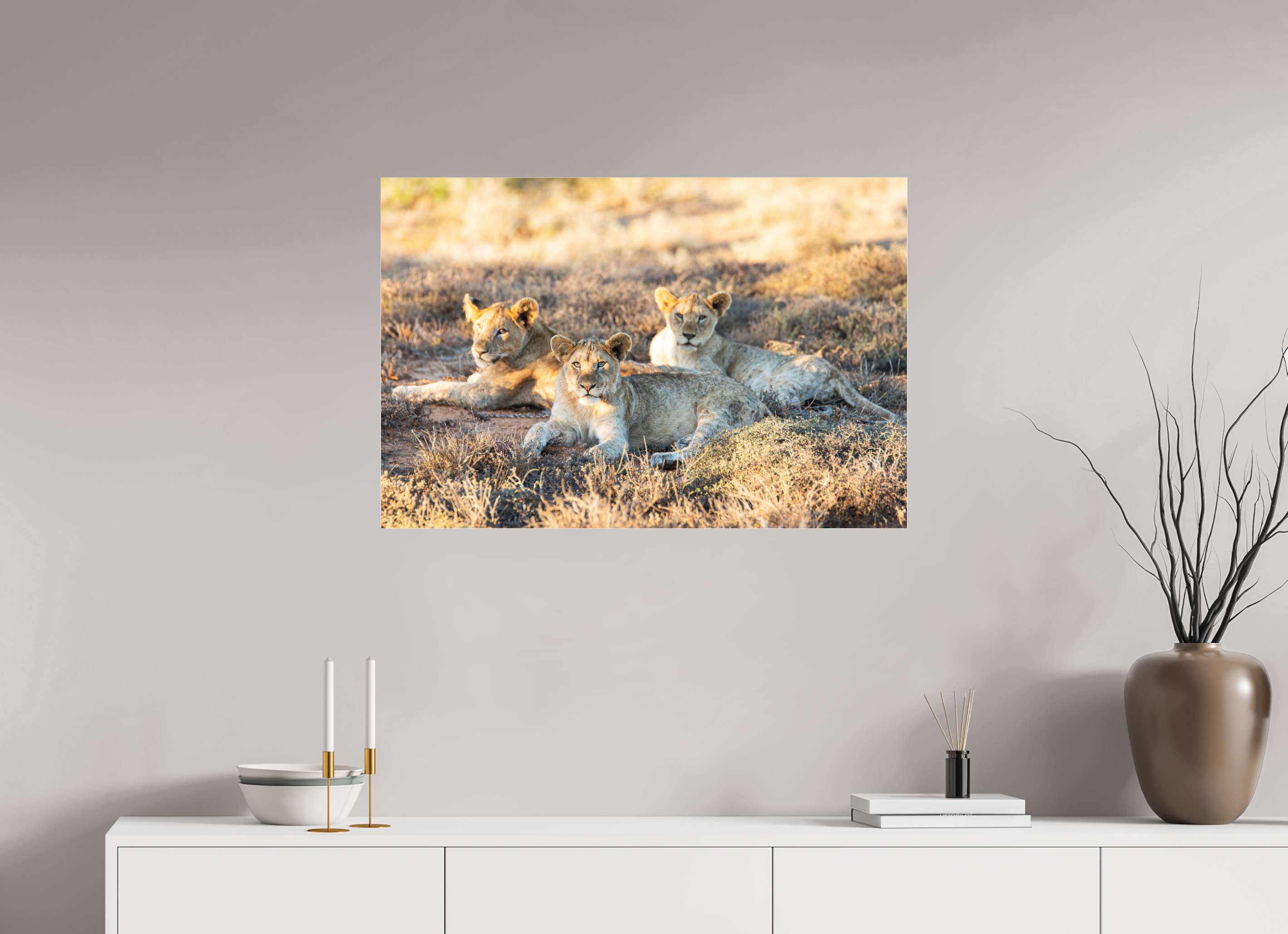 90 x 60 cm, Photo Print Under Acrylic Glass Lion cubs (no frame)