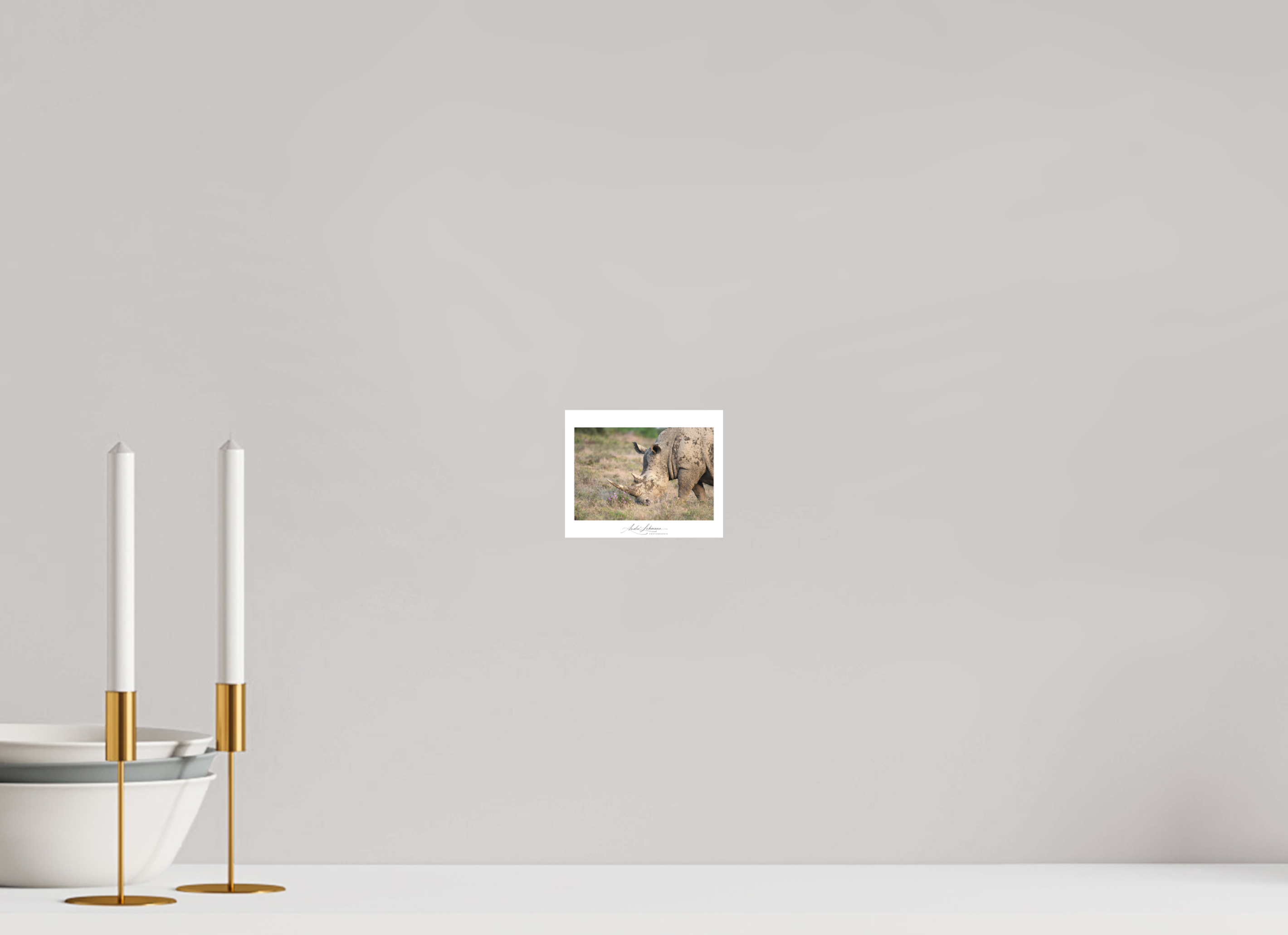 12.4 x 10 cm, Foto-Druck auf Alu-Dibond White Rhino (Alu Dibond)
