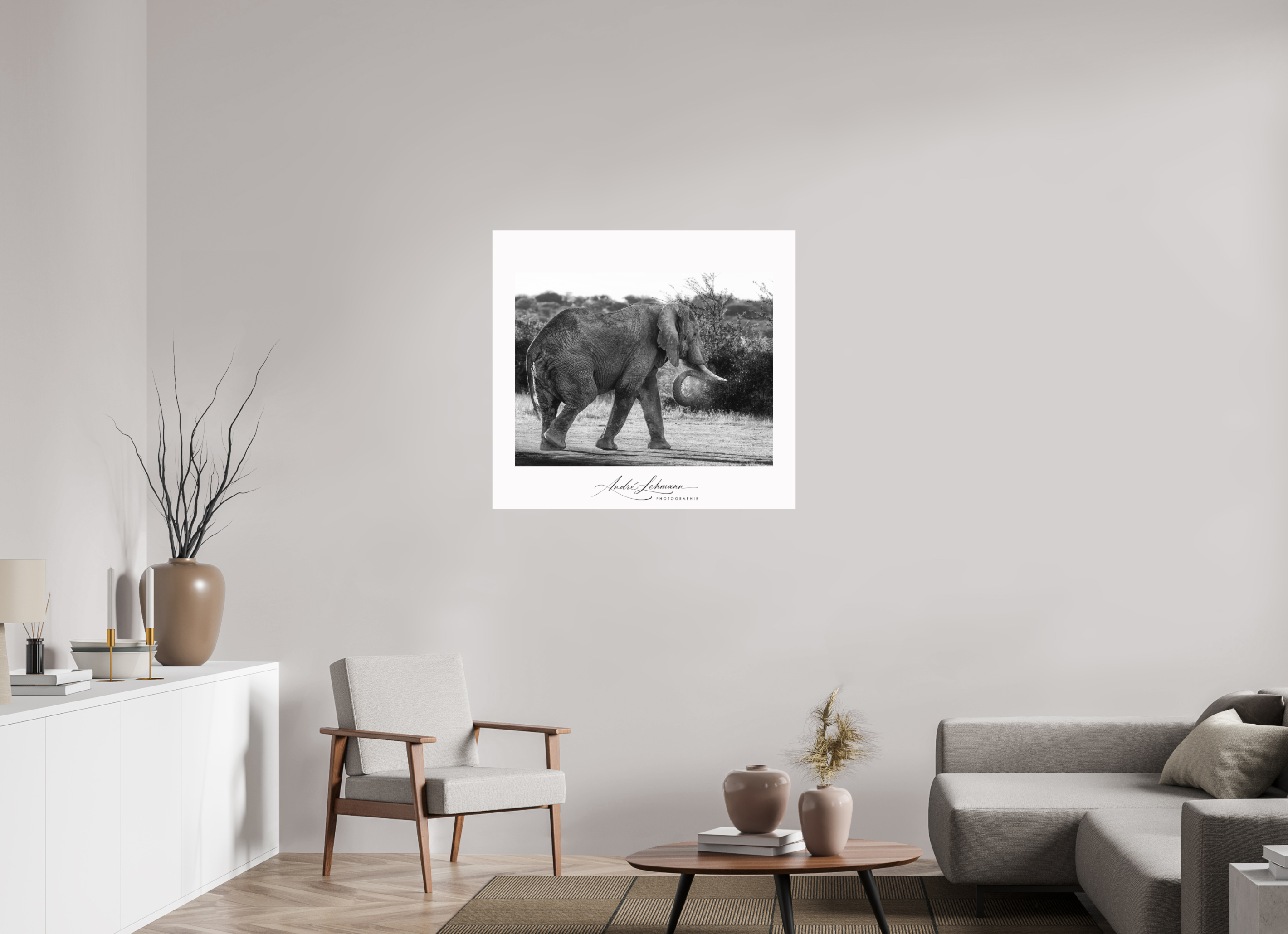 98 x 90 cm, Foto-Druck auf Alu-Dibond Elephant black and white (Alu dibond)