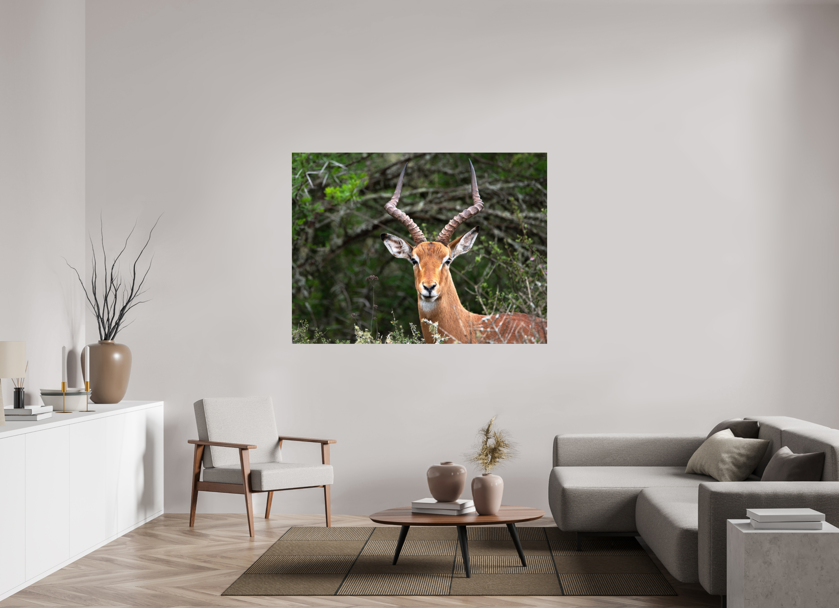 160 x 120 cm, Photo Print Under Acrylic Glass Impala (mo Frame)