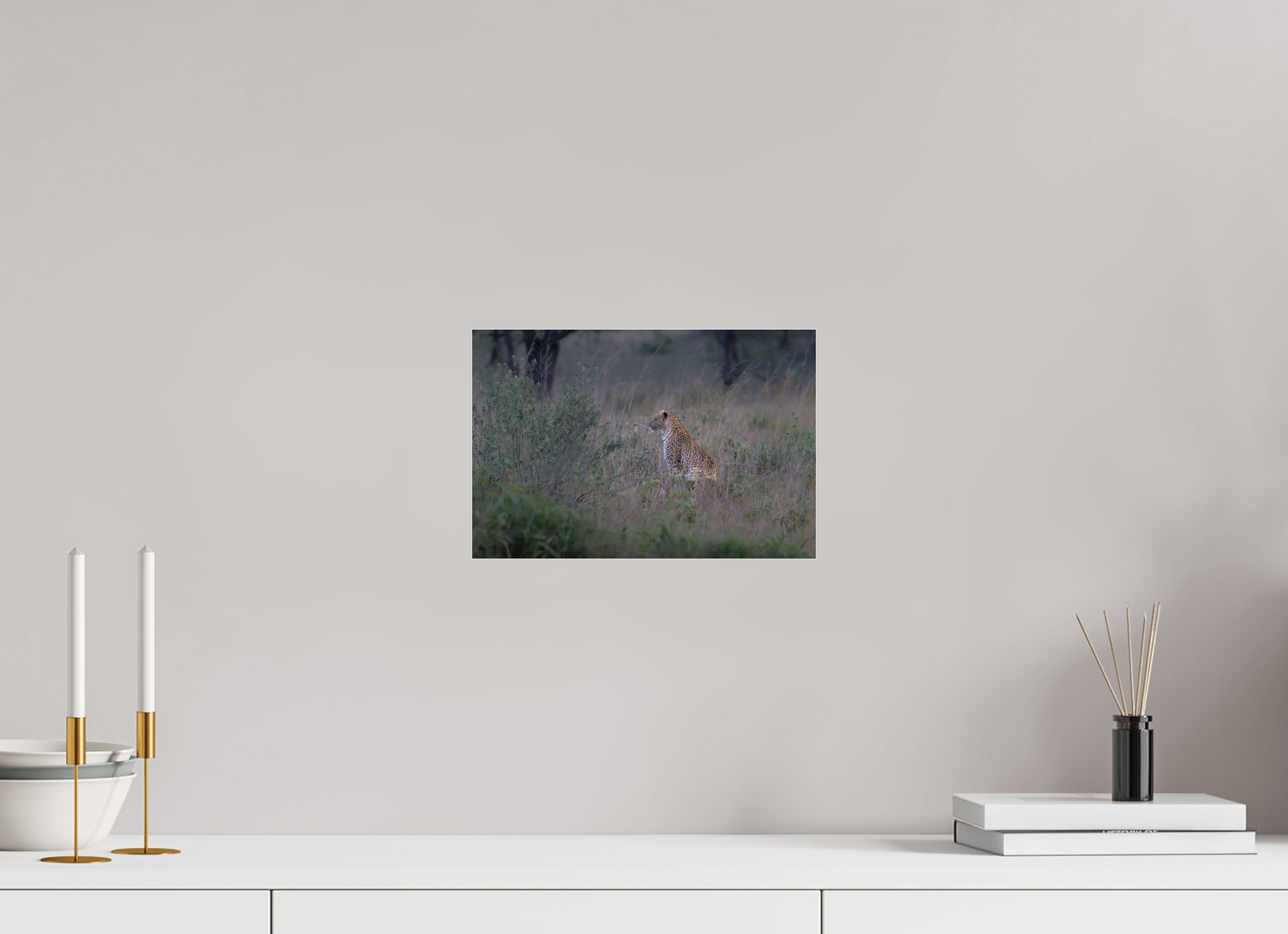 30 x 20 cm, Photo Print Under Acrylic Glass Leopard in high grass (no frame)