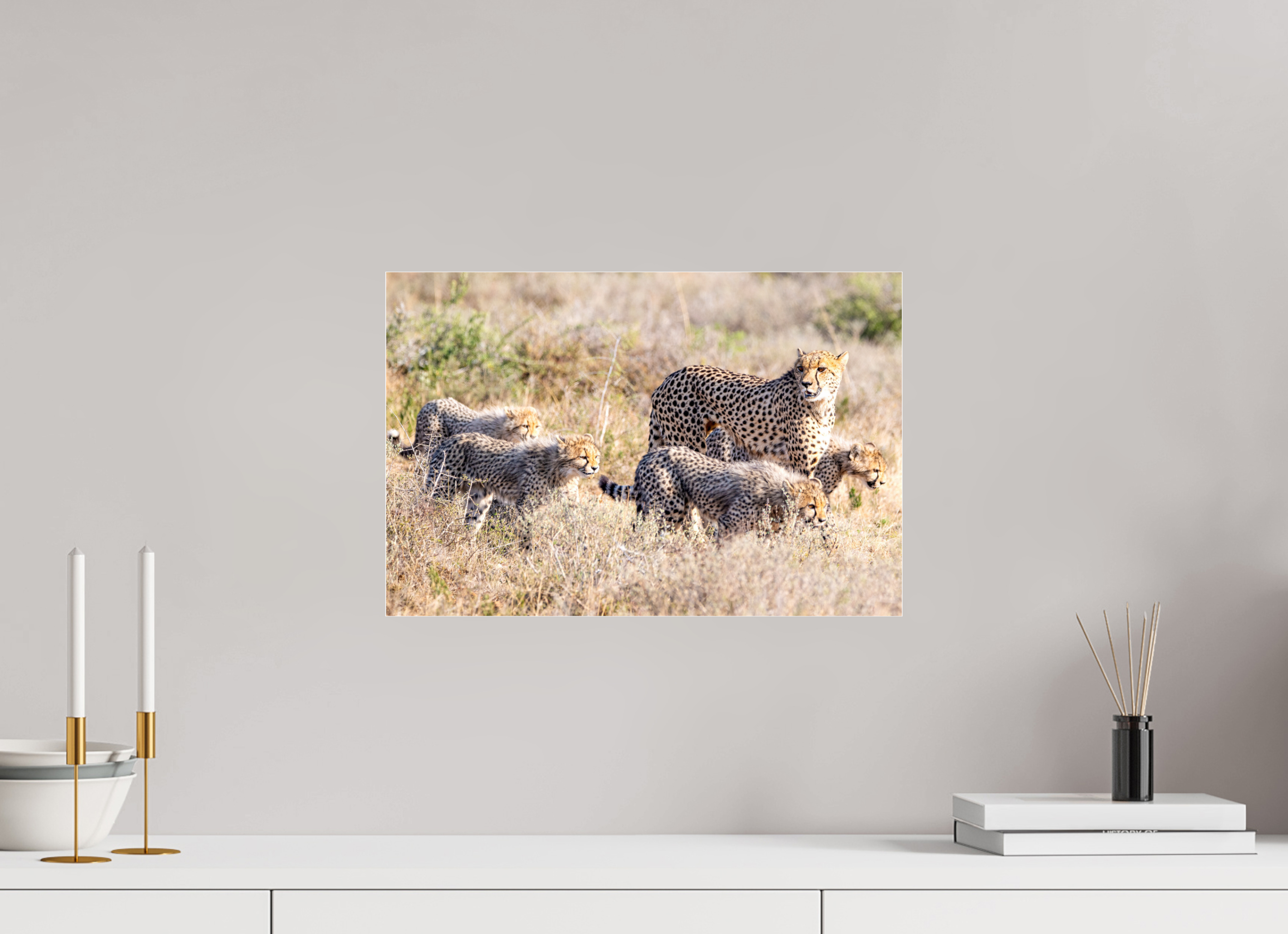 45 x 30 cm, Photo Print Under Acrylic Glass Cheetah and her cubs