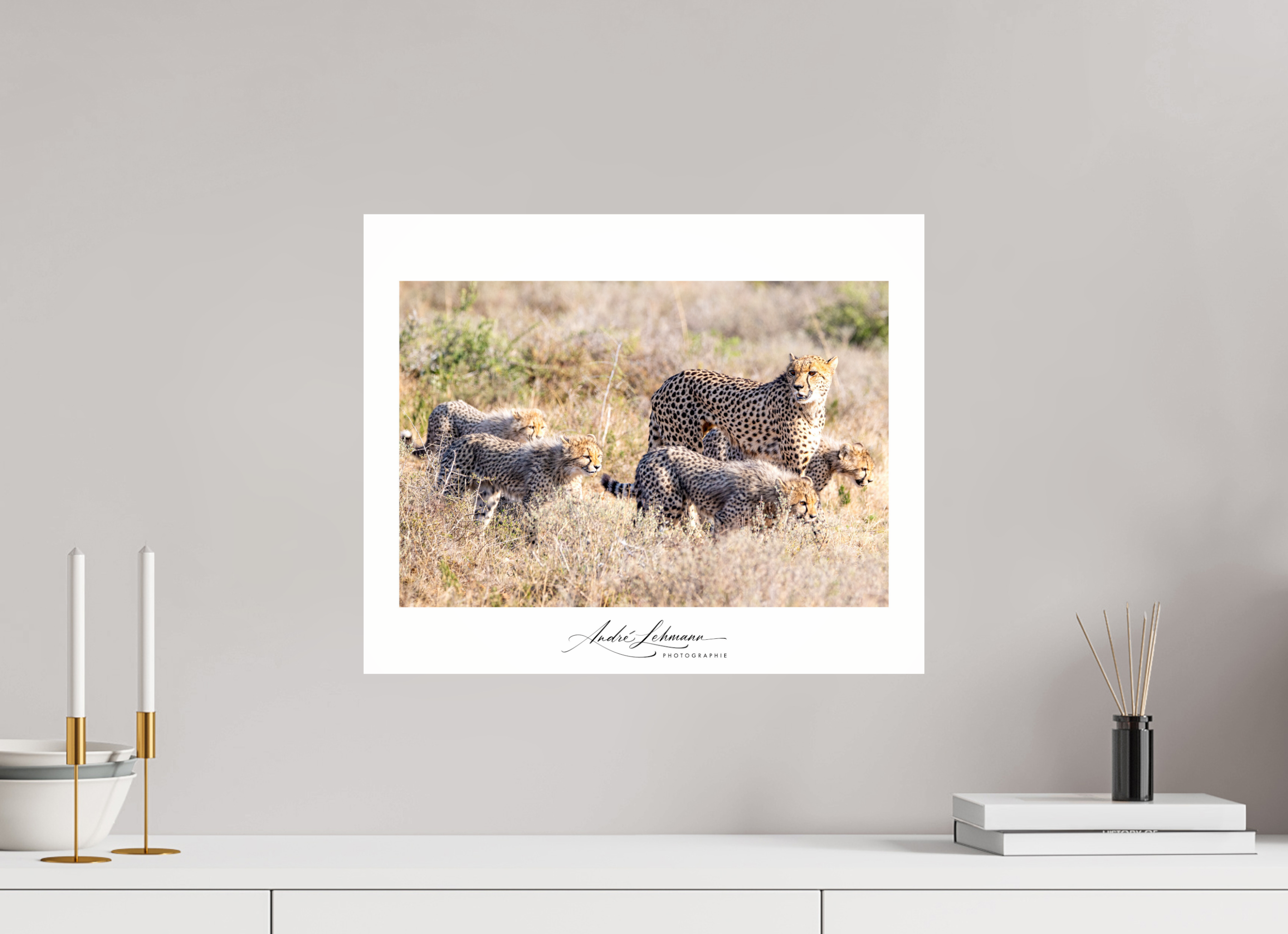 48.8 x 40 cm, Photo Print Under Acrylic Glass Cheetah and her cubs
