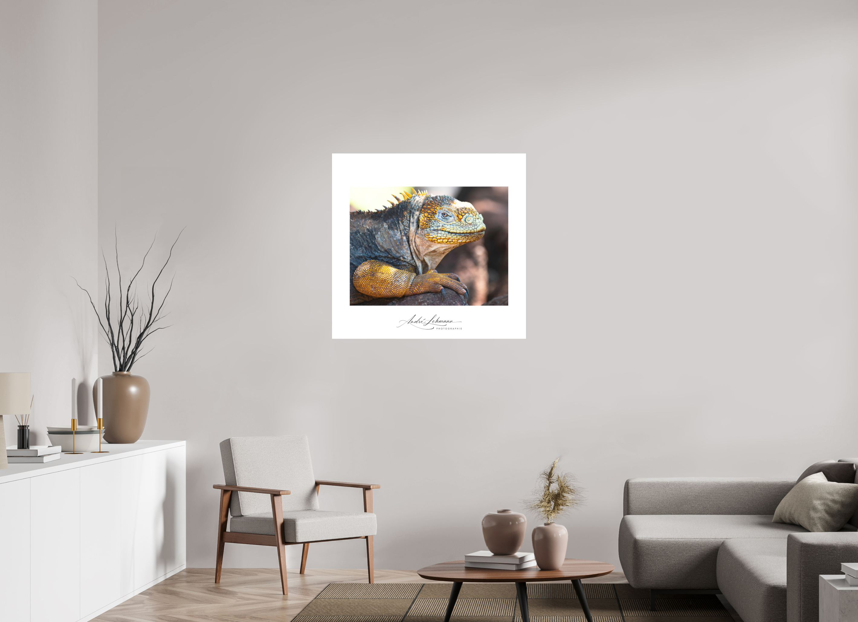 94.1 x 90 cm, Foto-Druck auf Alu-Dibond Galapagos Land Iguana