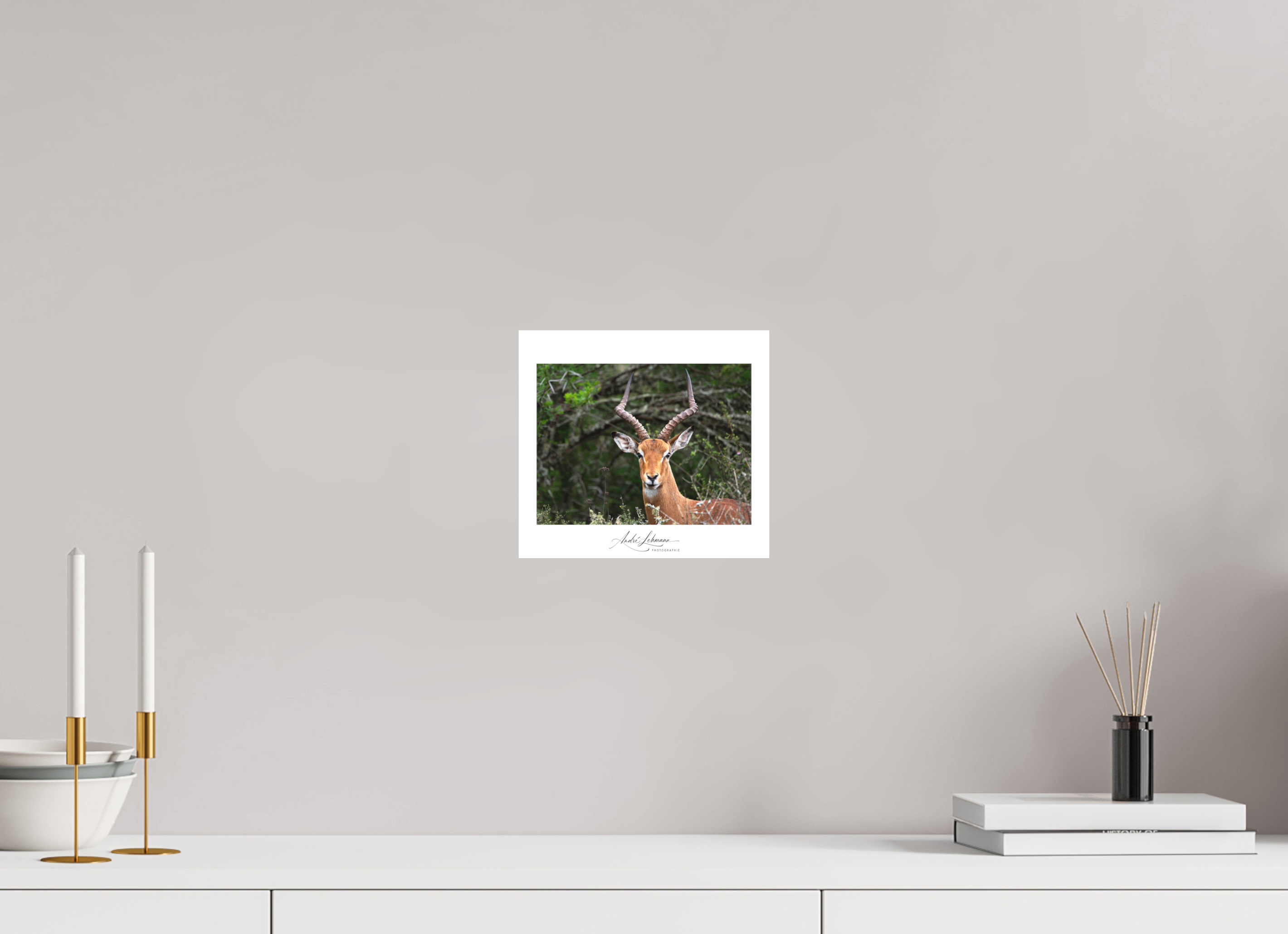 22 x 20 cm, Foto-Druck auf Alu-Dibond Impala (Alu Dibond)