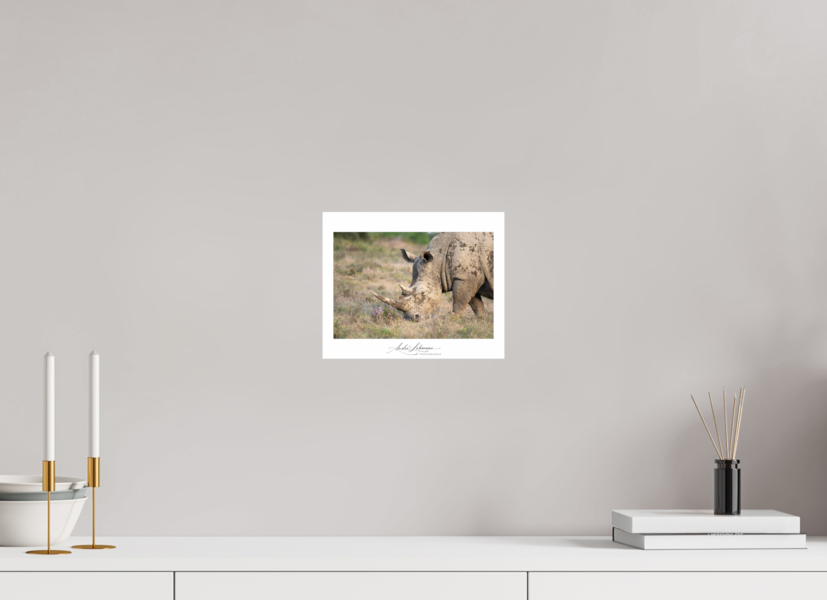 24.8 x 20 cm, Photo Print Under Acrylic Glass Rhino