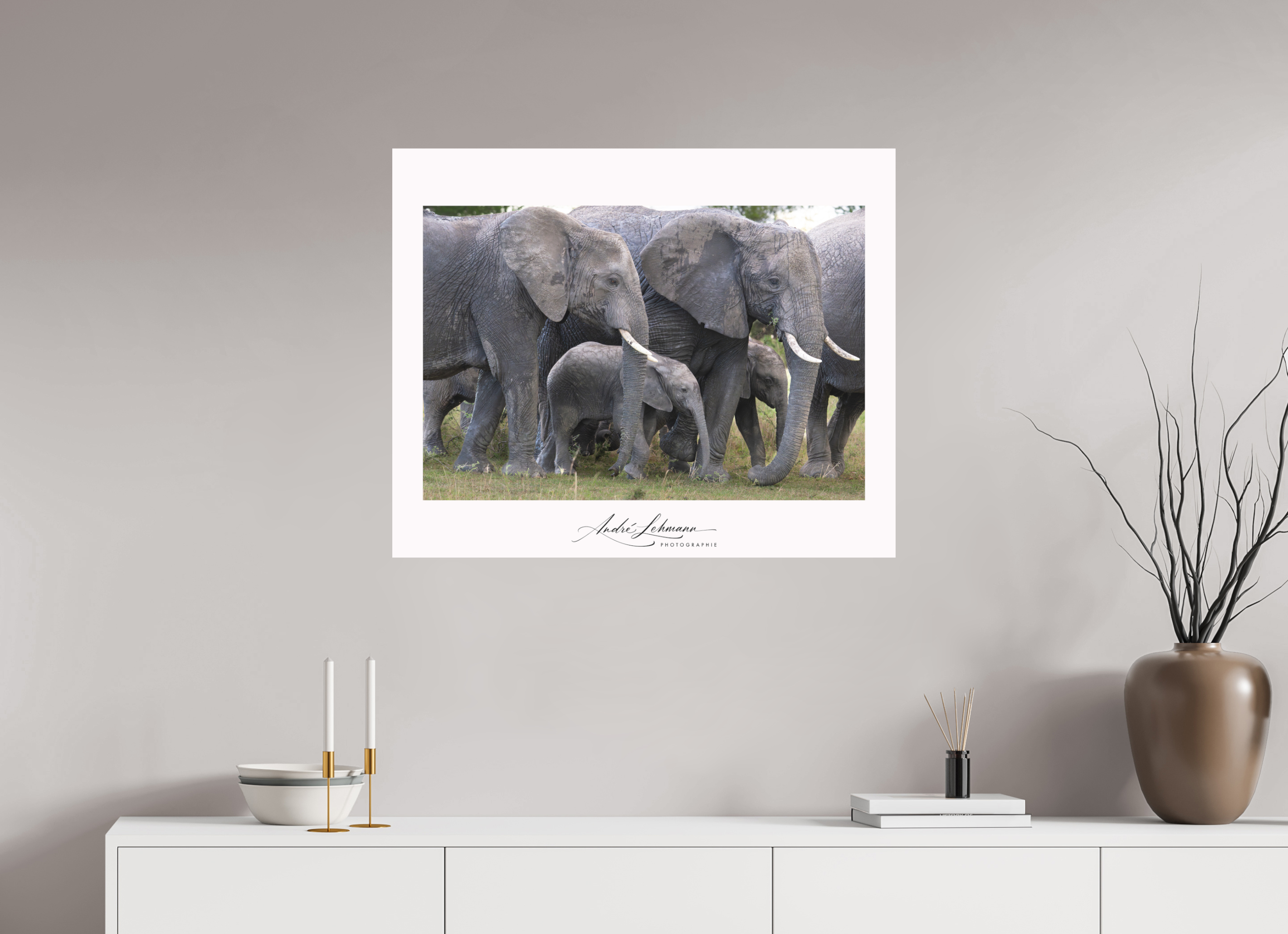 86.1 x 70 cm, Foto-Druck auf Alu-Dibond Elephant calf