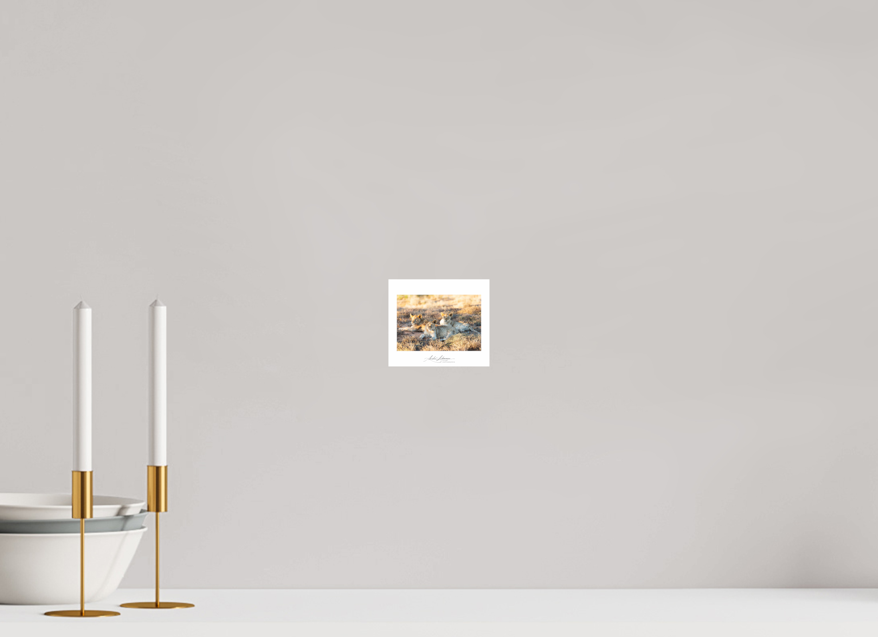 11.6 x 10 cm, Photo Print Under Acrylic Glass Lion Cubs