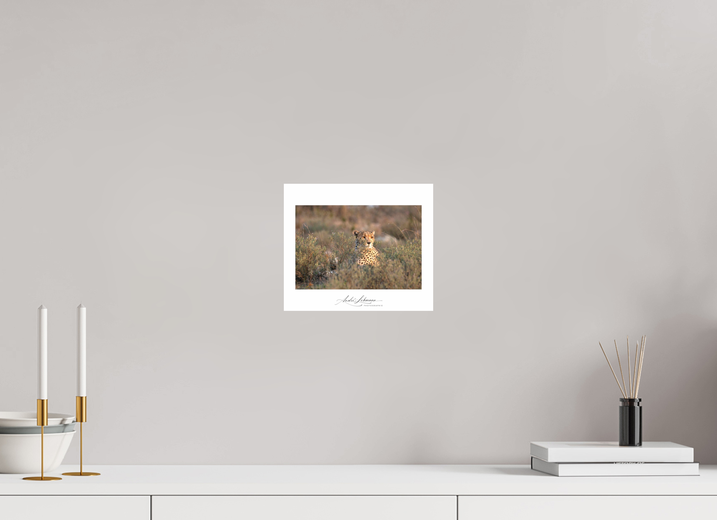 23.5 x 20 cm, Photo Print Under Acrylic Glass Cheetah in the grass