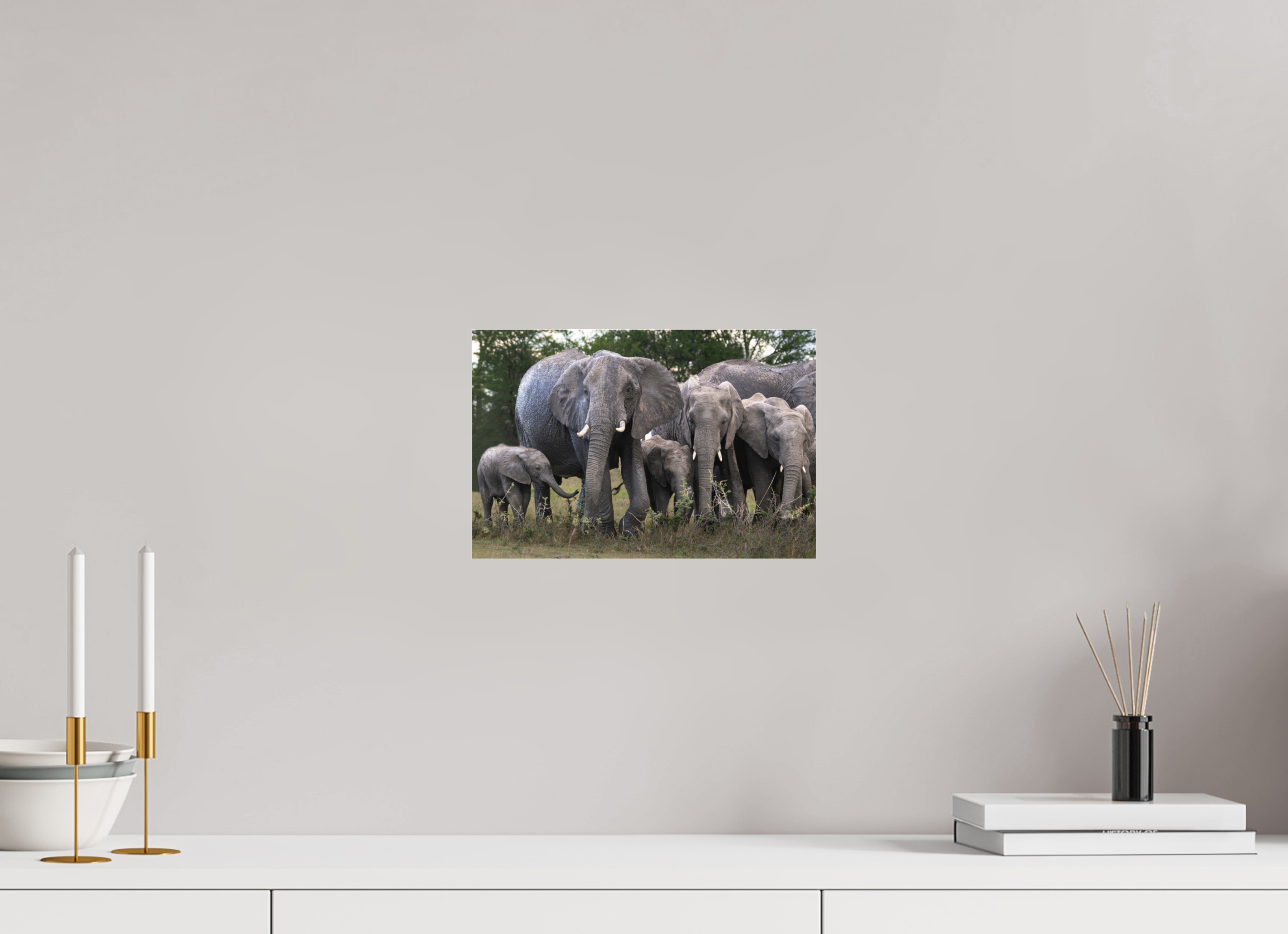 30 x 20 cm, Photo Print Under Acrylic Glass Happy Elephant family (no frame)