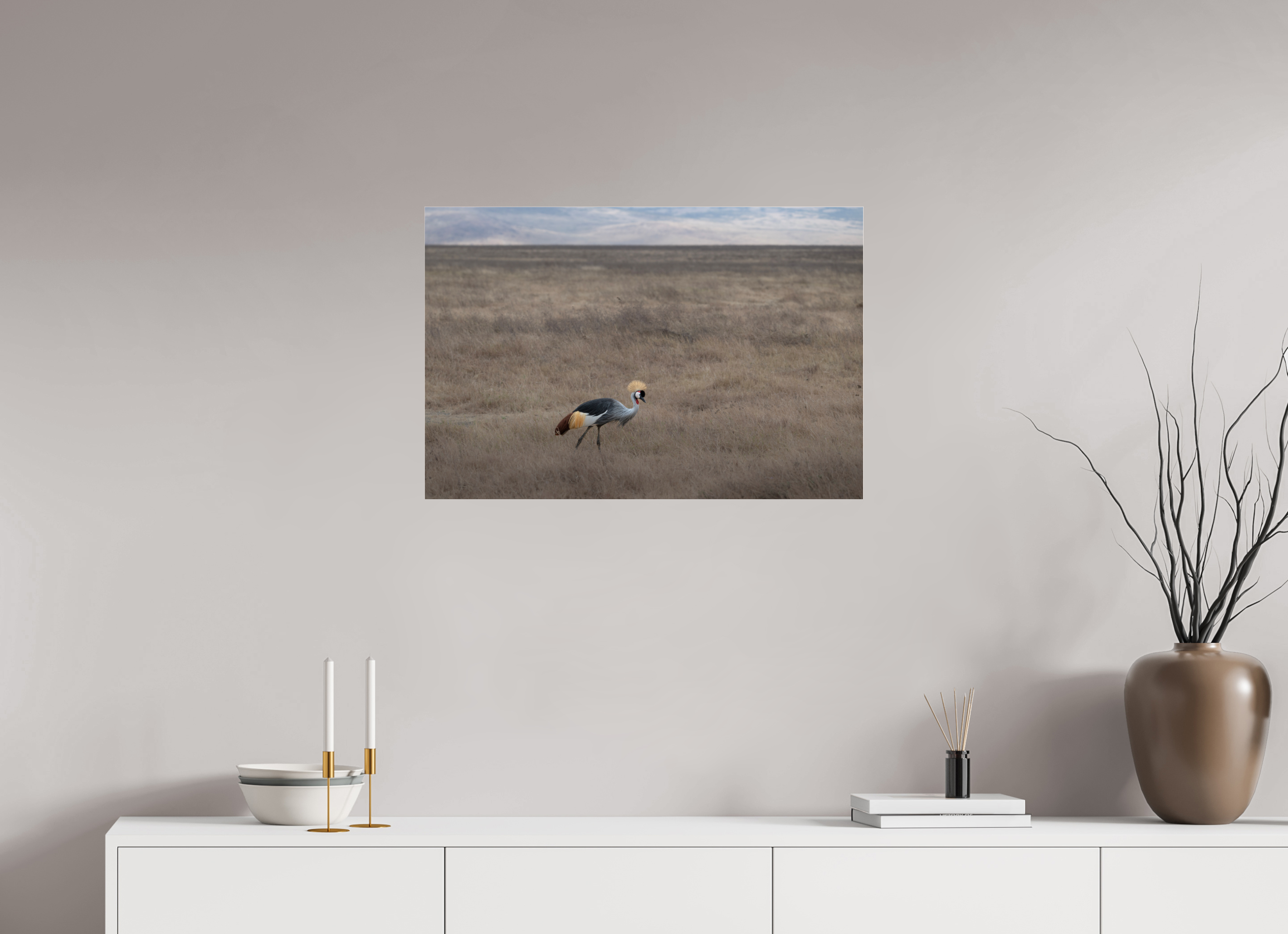 75 x 50 cm, Photo Print Under Acrylic Glass Grey Crowned Crane