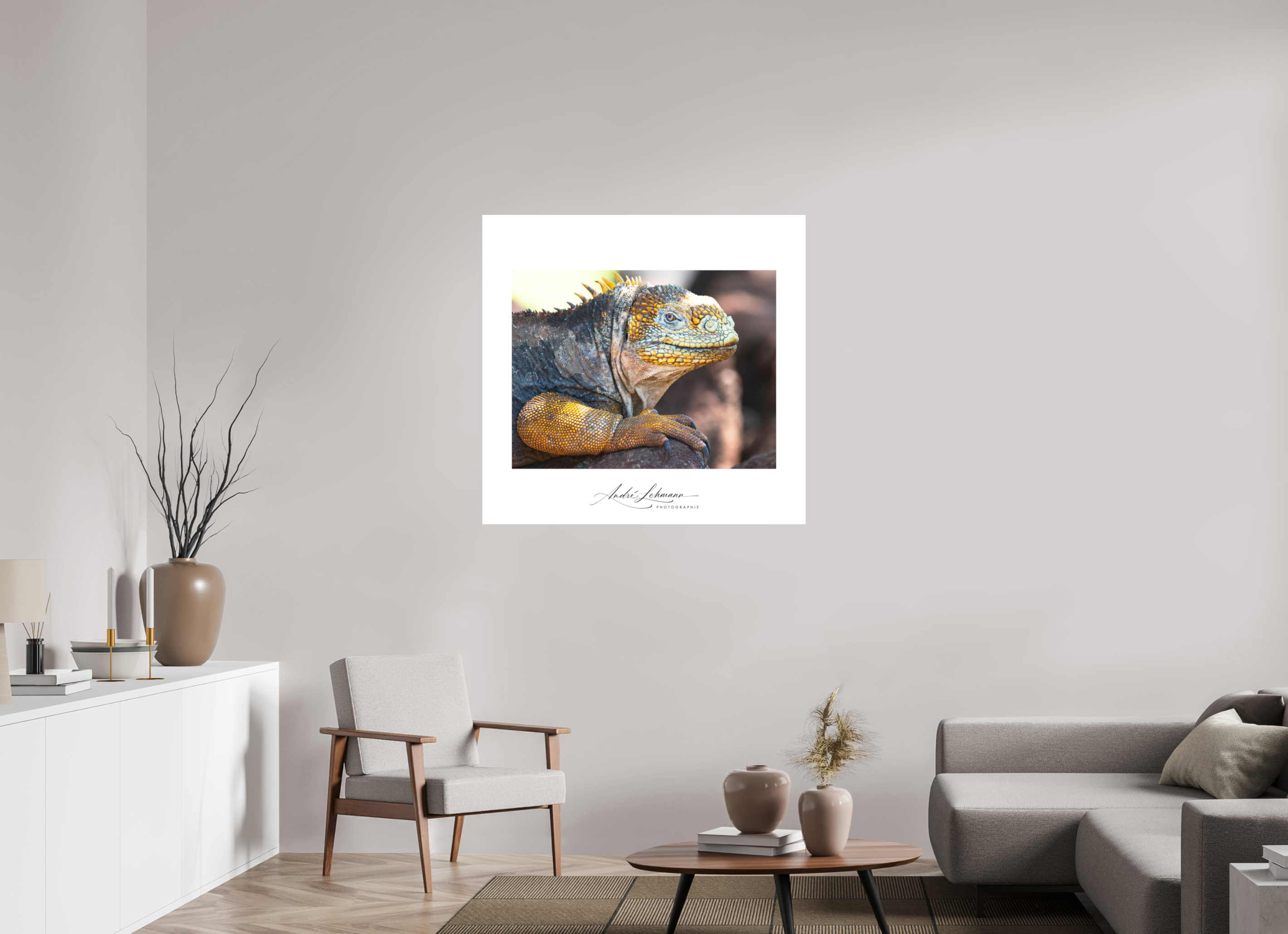 104.5 x 100 cm, Foto-Druck auf Alu-Dibond Galapagos Land Iguana