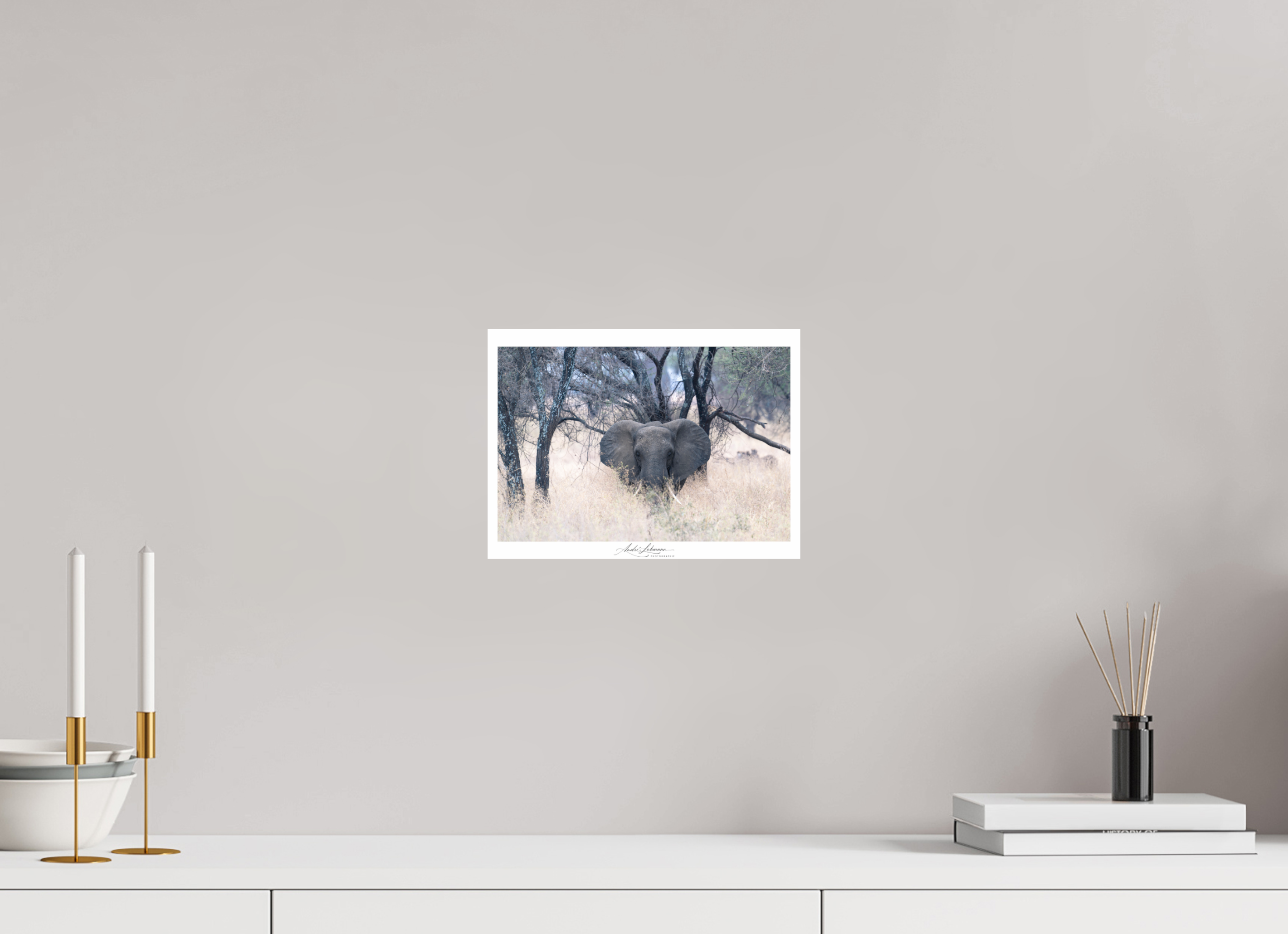 27.2 x 20 cm, Photo Print Under Acrylic Glass Elephant in the Savanna