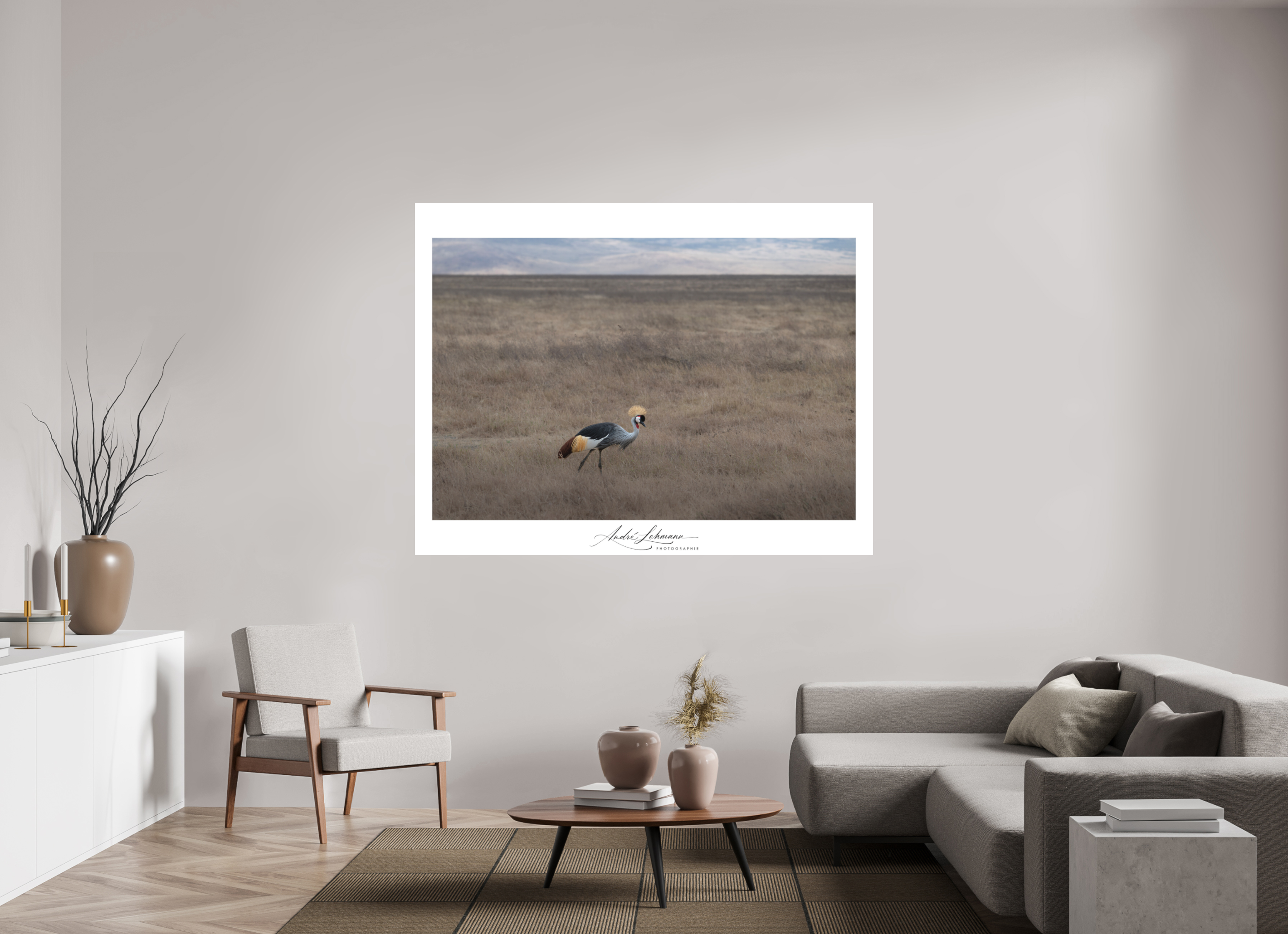 182.2 x 140 cm, Foto-Druck auf Alu-Dibond Grey crowned Crane (Alu Dibond)