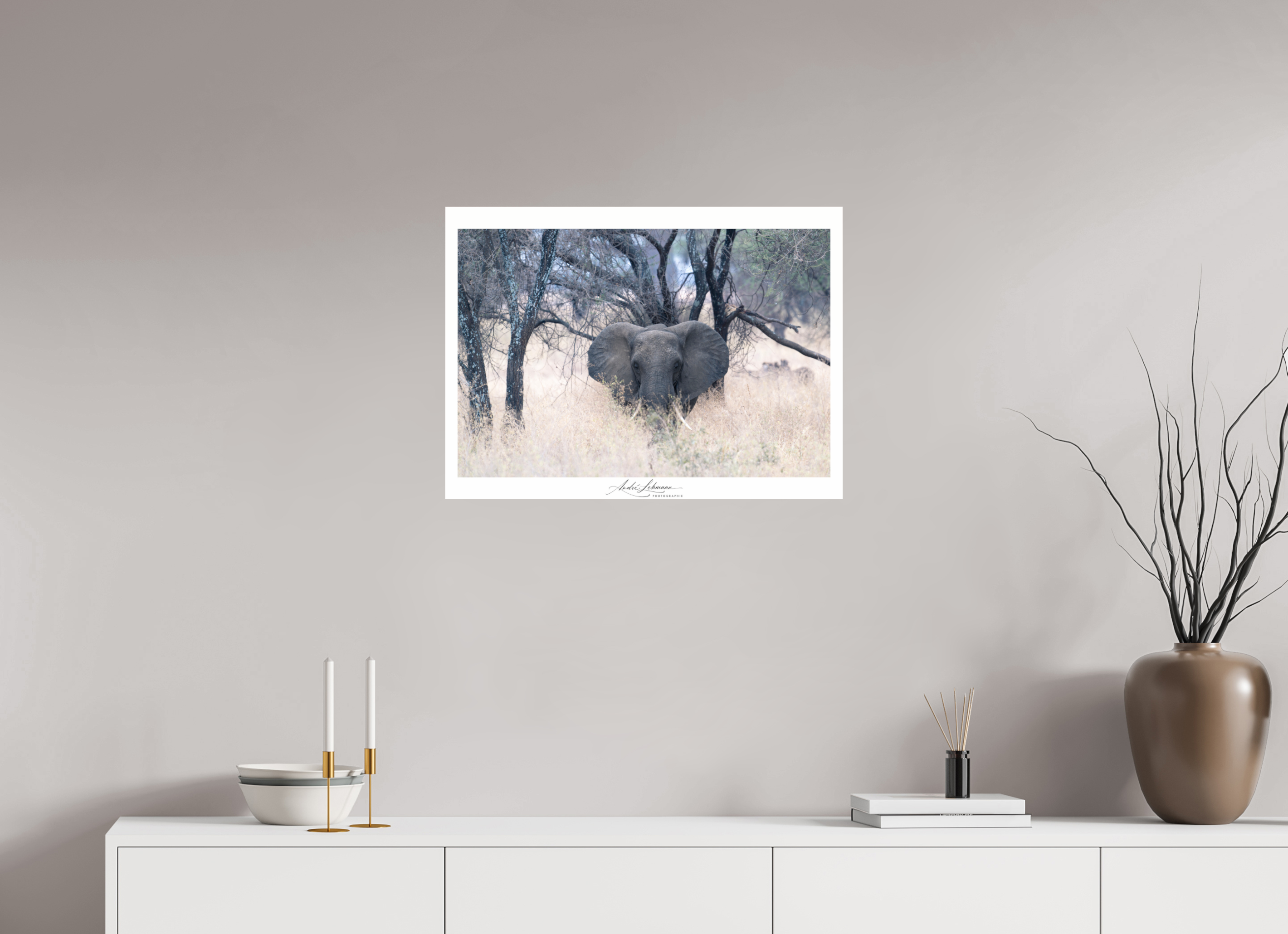 67.9 x 50 cm, Photo Print Under Acrylic Glass Elephant in the Savanna