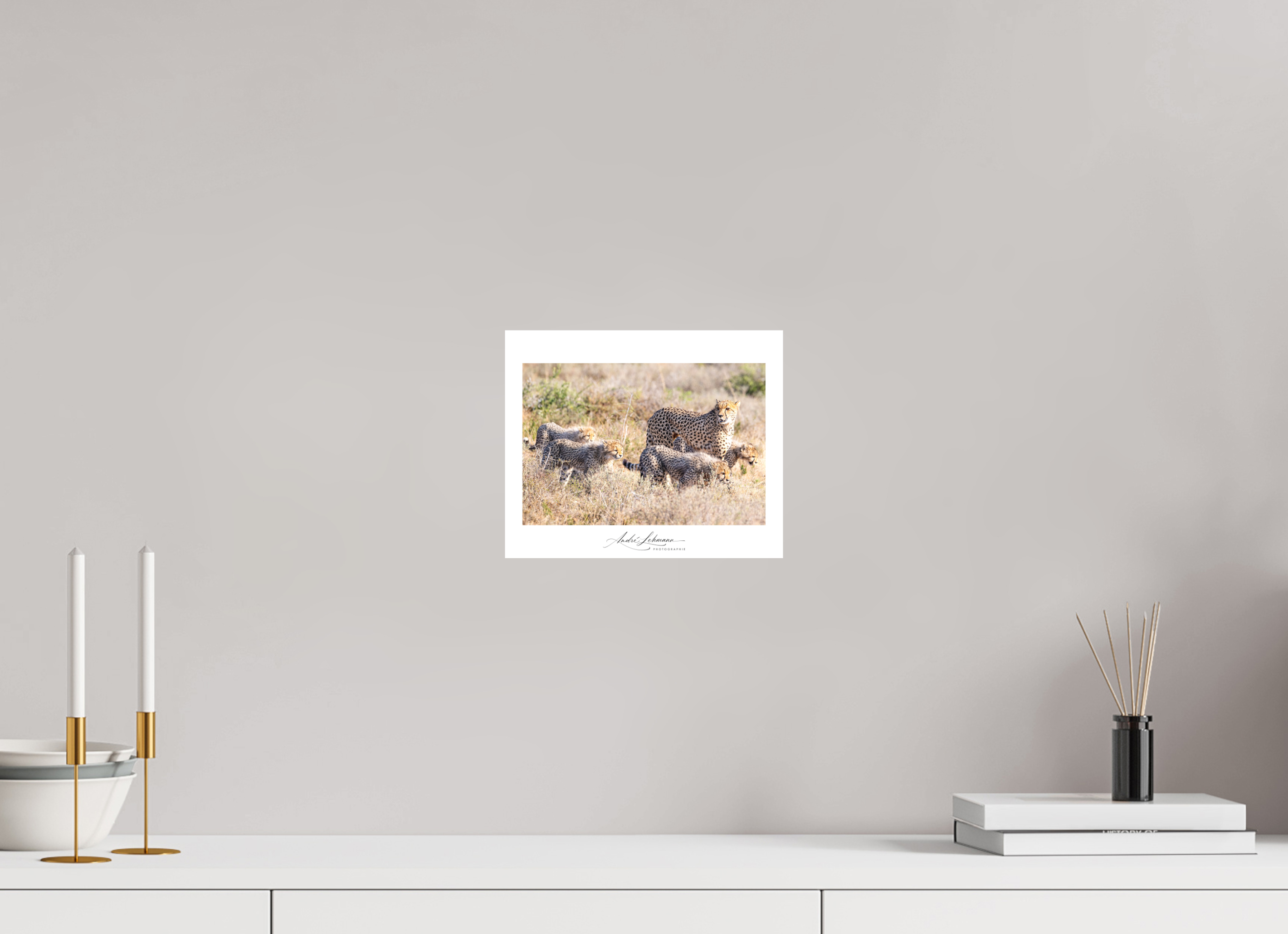 24.4 x 20 cm, Foto-Druck auf Alu-Dibond Cheetah and her cubs