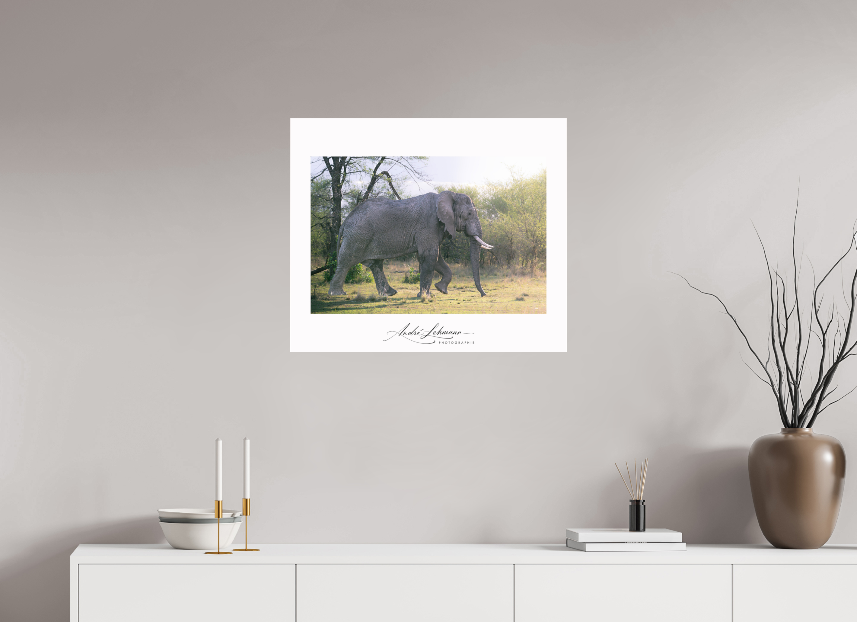 71 x 60 cm, Photo Print Under Acrylic Glass Walking giant