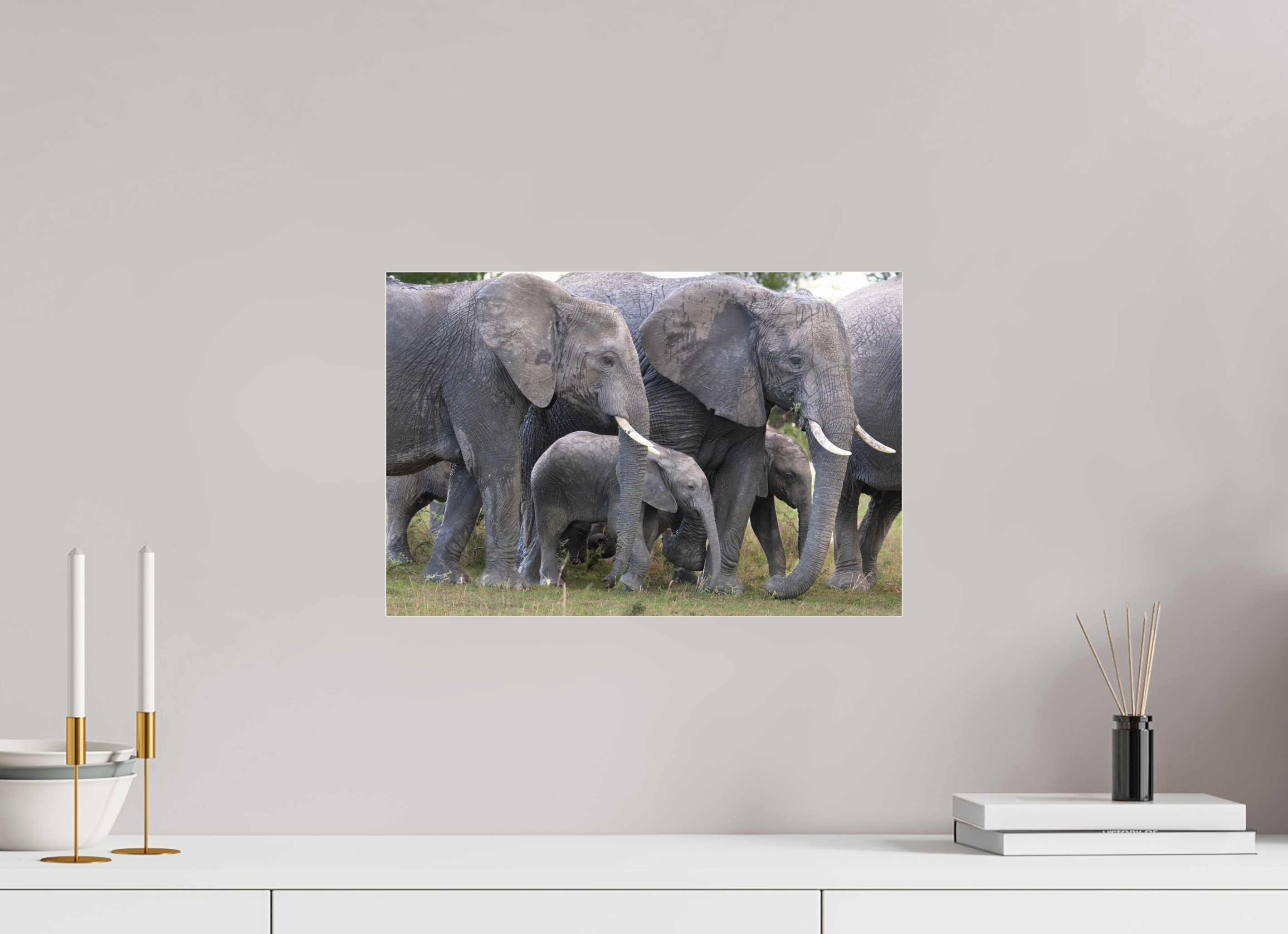 45 x 30 cm, Photo Print Under Acrylic Glass Elephant calf