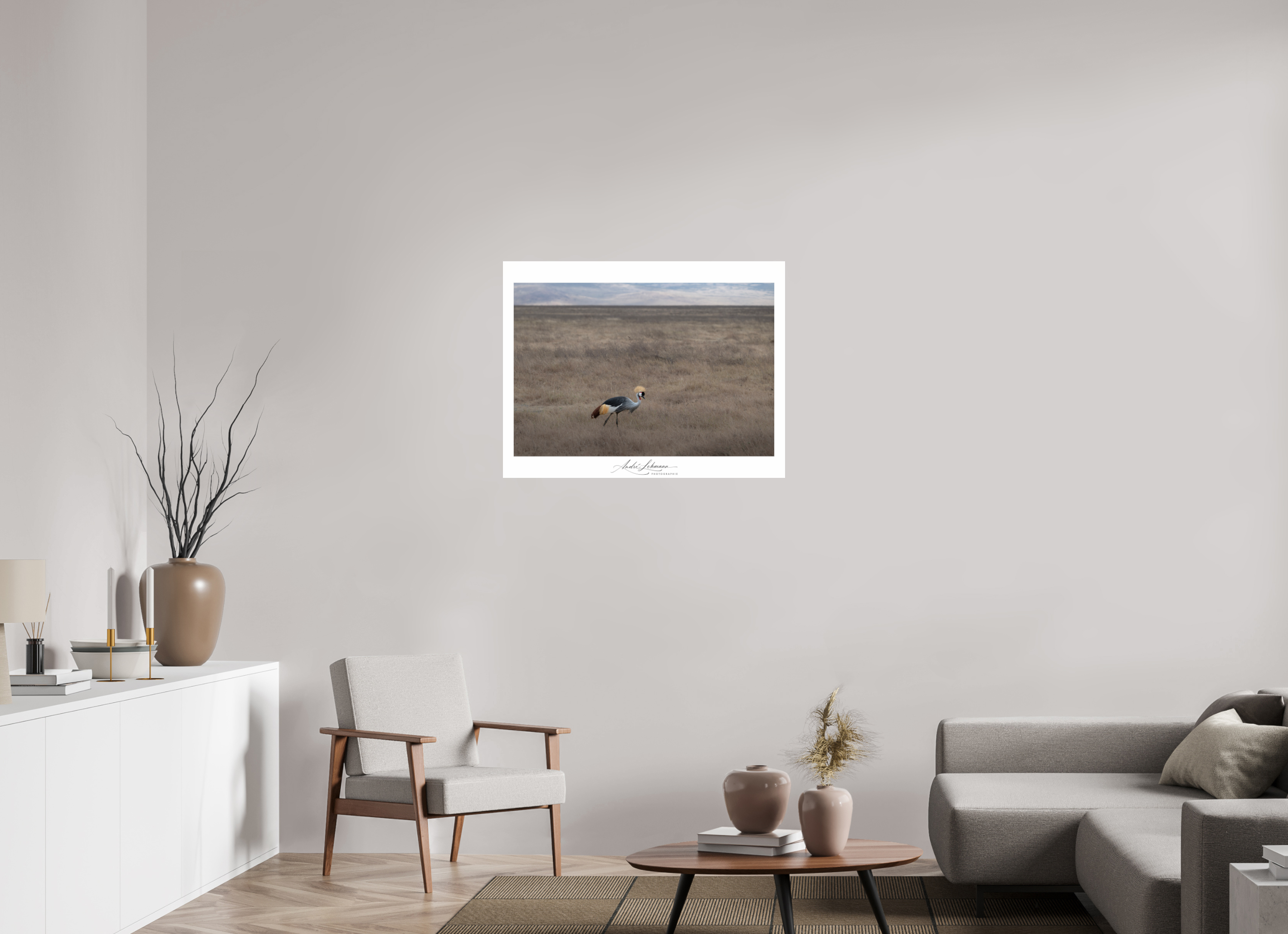 91.1 x 70 cm, Photo Print Under Acrylic Glass Grey Crowned Crane
