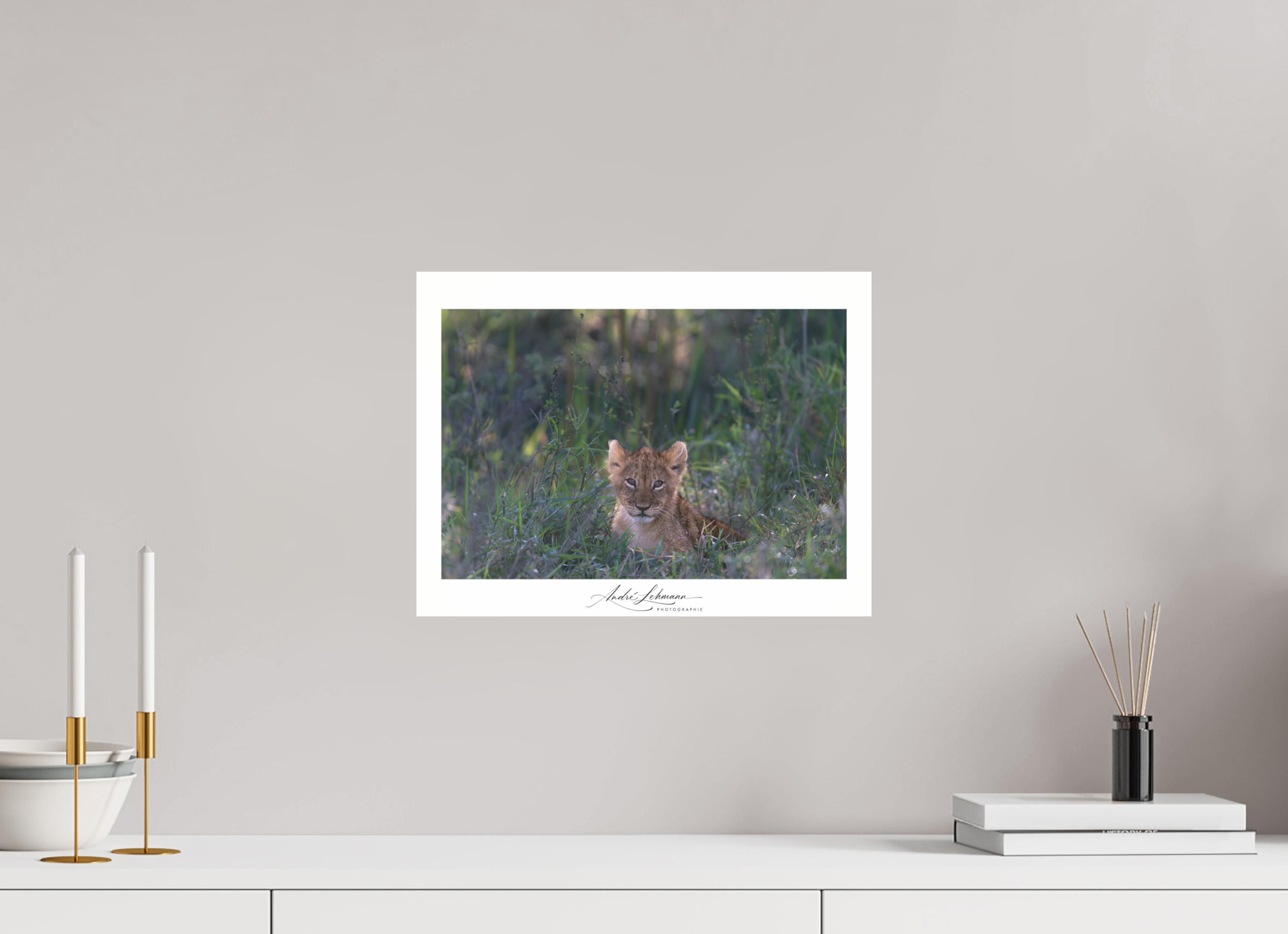 39.6 x 30 cm, Photo Print Under Acrylic Glass Lion cub