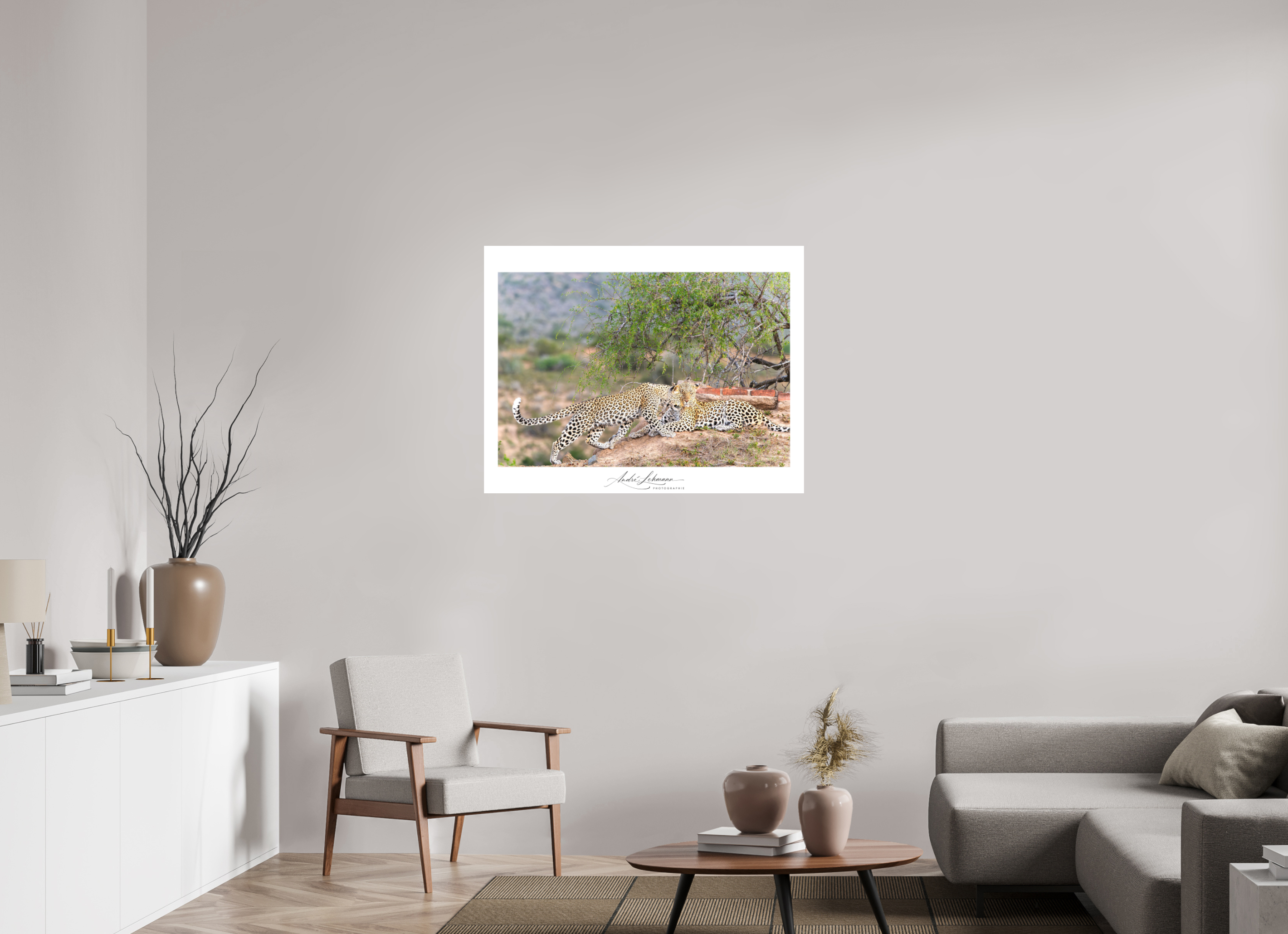103.4 x 80 cm, Foto-Druck auf Alu-Dibond Two Leopards (Alu Dibond)