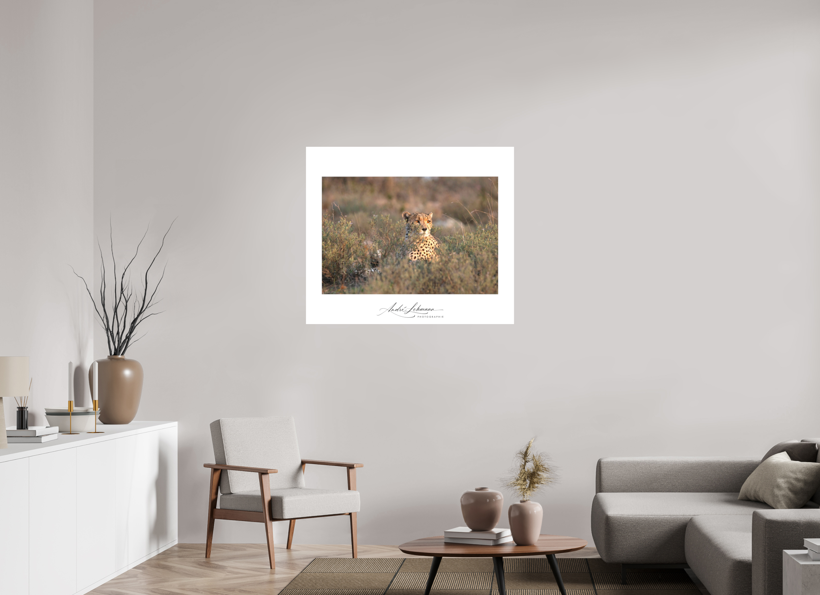 105.6 x 90 cm, Foto-Druck auf Alu-Dibond Cheetah in the grass