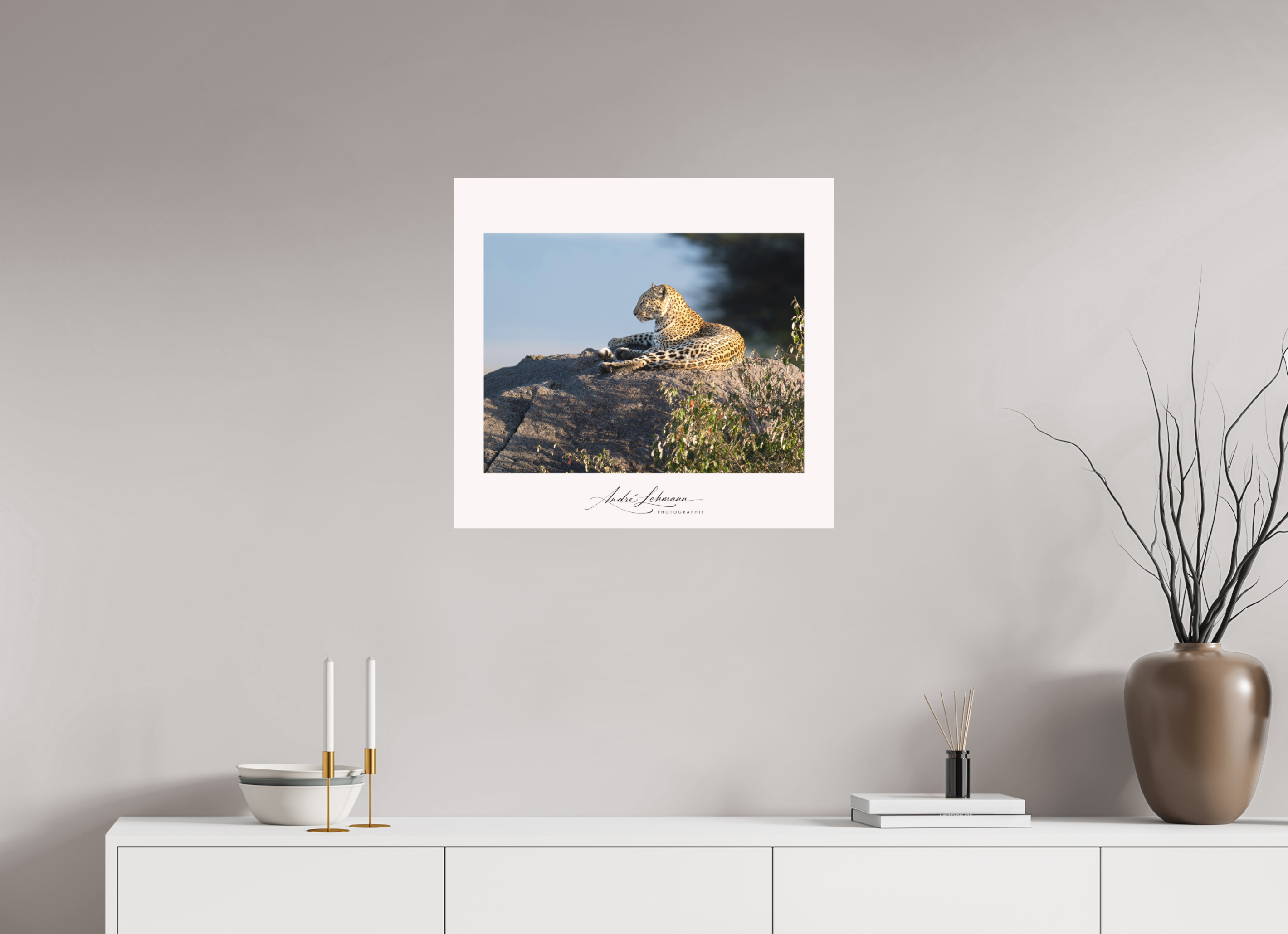 64.9 x 60 cm, Foto-Druck auf Alu-Dibond Leopard scanning the horizon (Alu dibond)