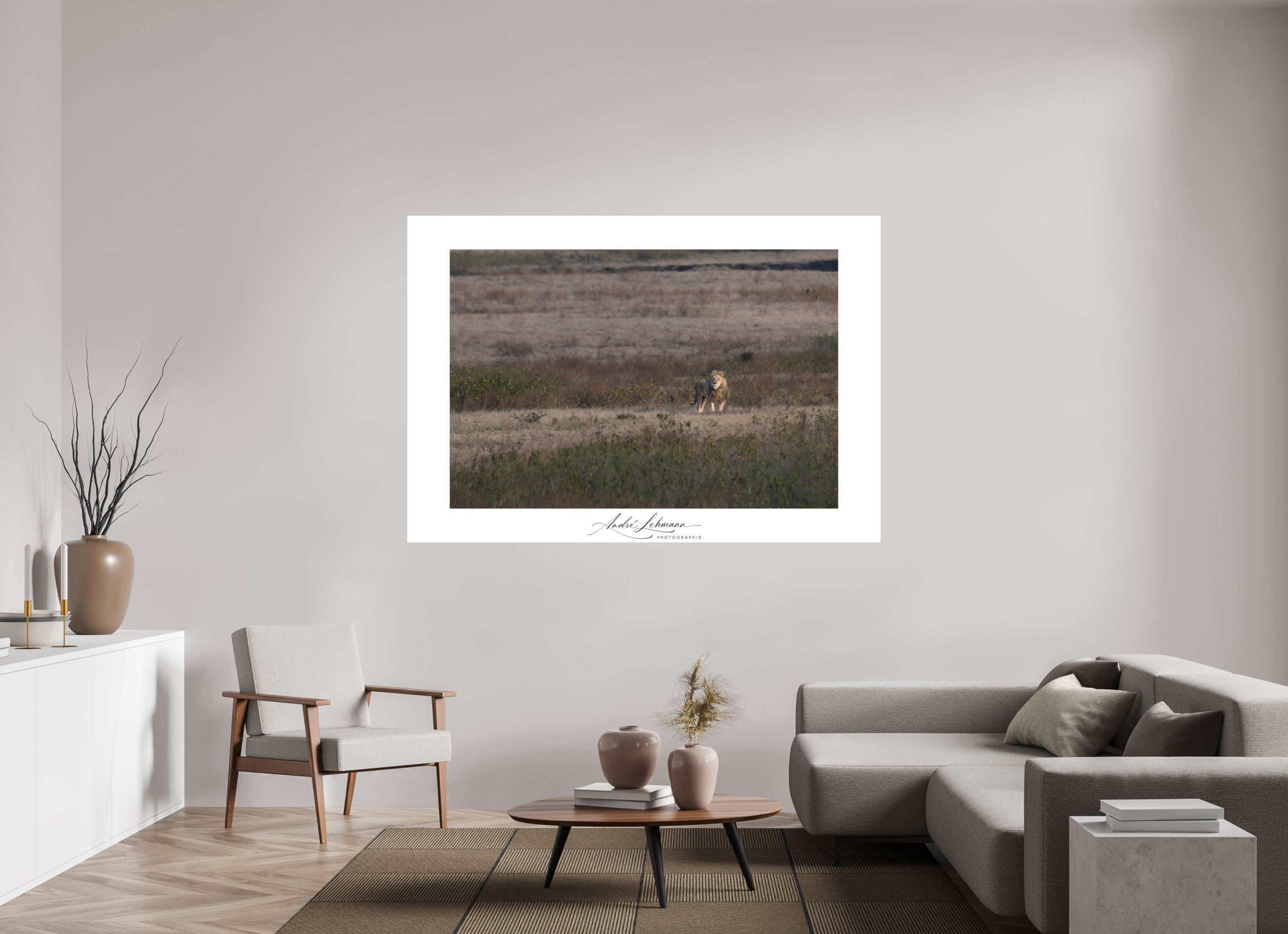 188.3 x 130 cm, Foto-Druck auf Alu-Dibond A lion surveys its territory (Alu dibond)