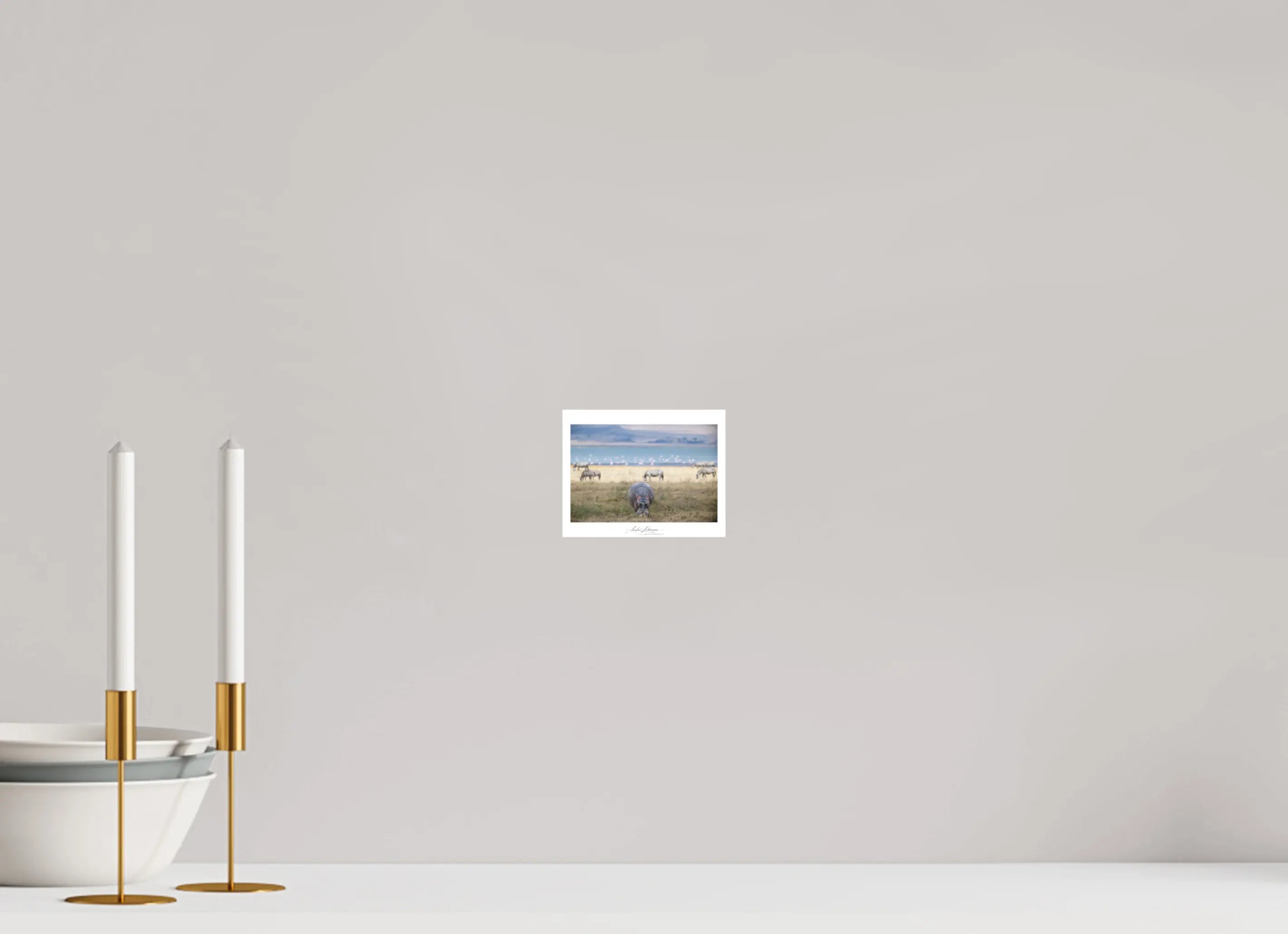 12.8 x 10 cm, Foto-Druck auf Alu-Dibond Hippo granzing (Alu dibond)
