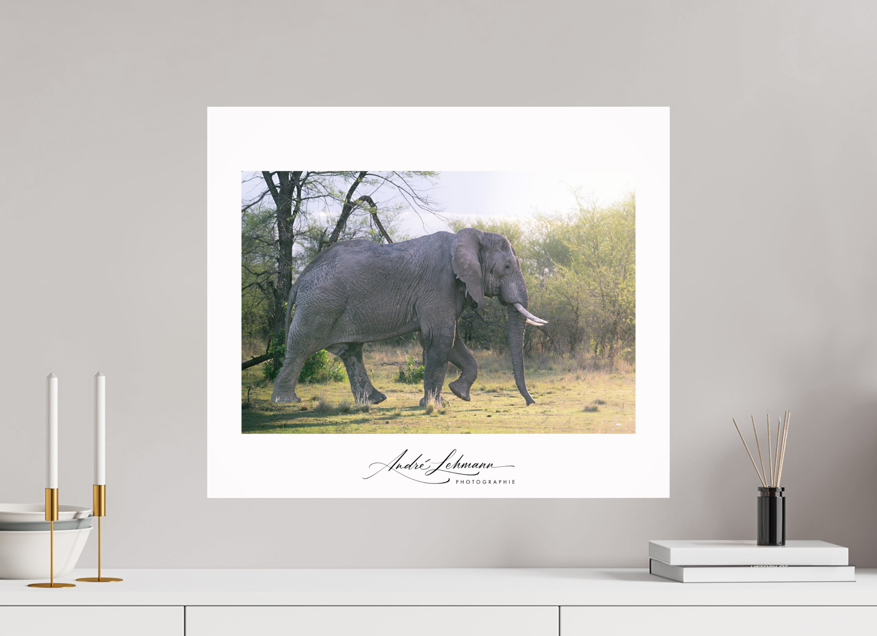 59.1 x 50 cm, Photo Print Under Acrylic Glass Walking giant