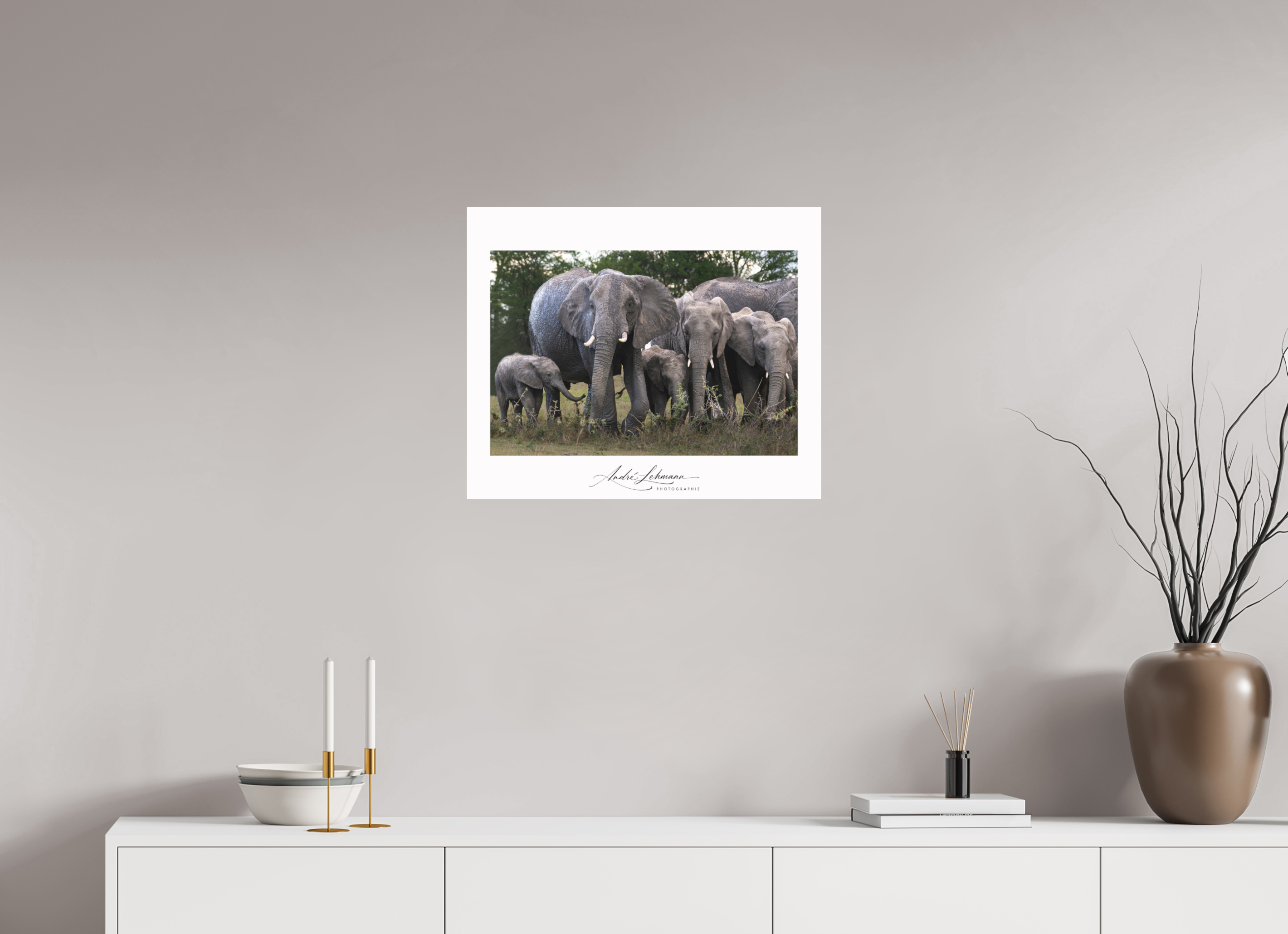 60.6 x 50 cm, Foto-Druck auf Alu-Dibond Happy Elephant family (Alu dibond)
