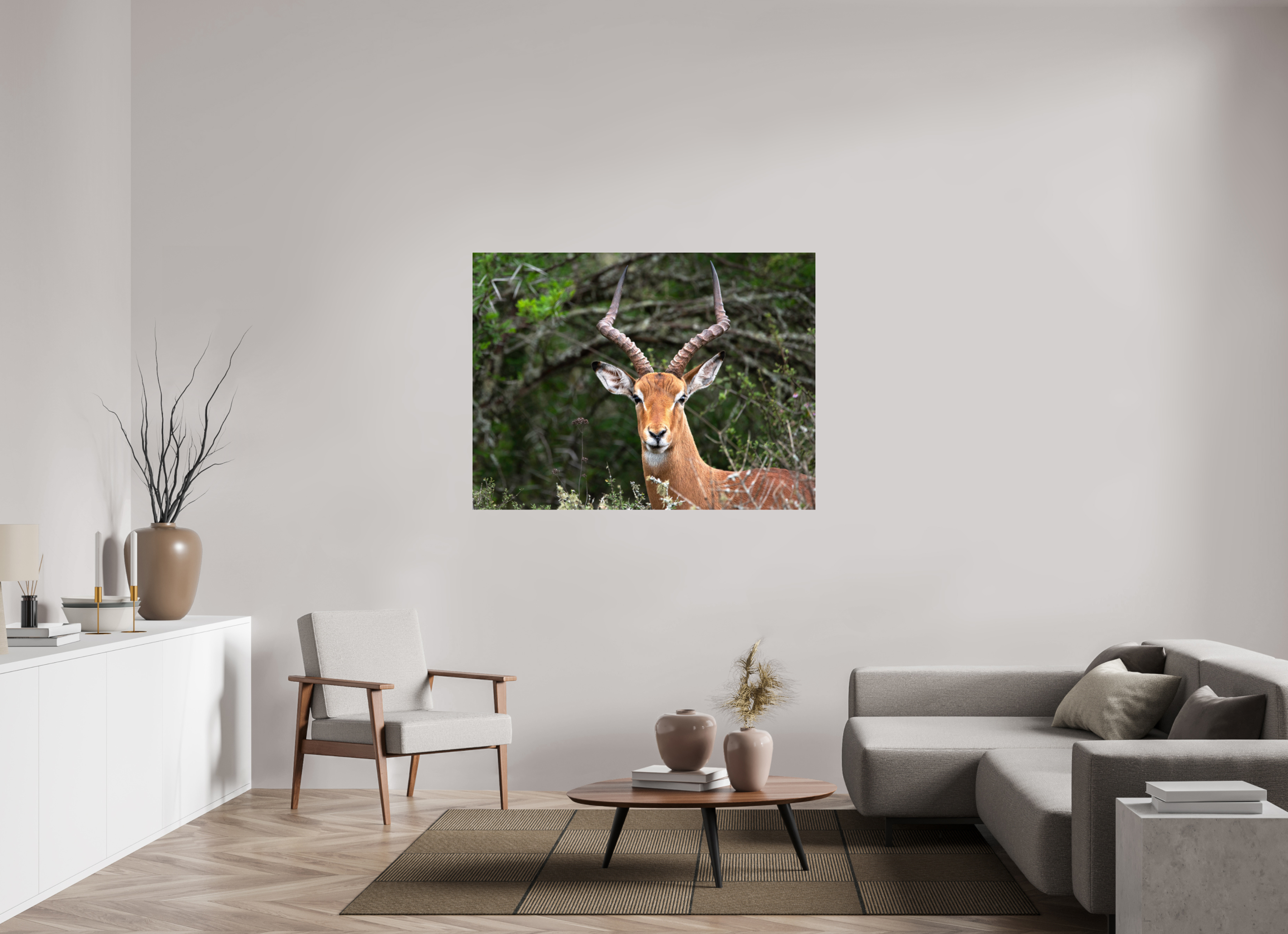140 x 105 cm, Photo Print Under Acrylic Glass Impala (mo Frame)