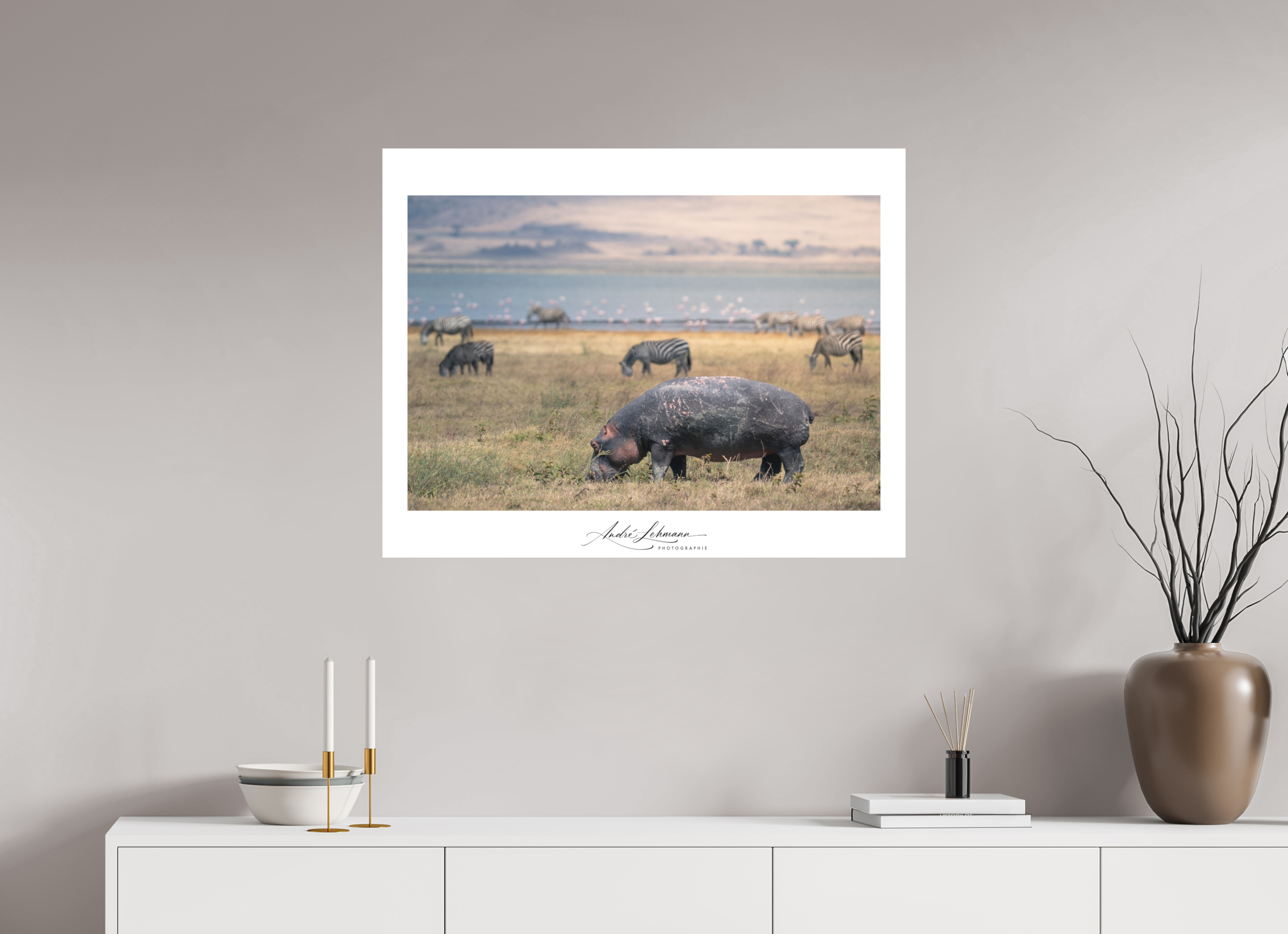89.5 x 70 cm, Foto-Druck auf Alu-Dibond Hippo out of the water (Alu dibond)