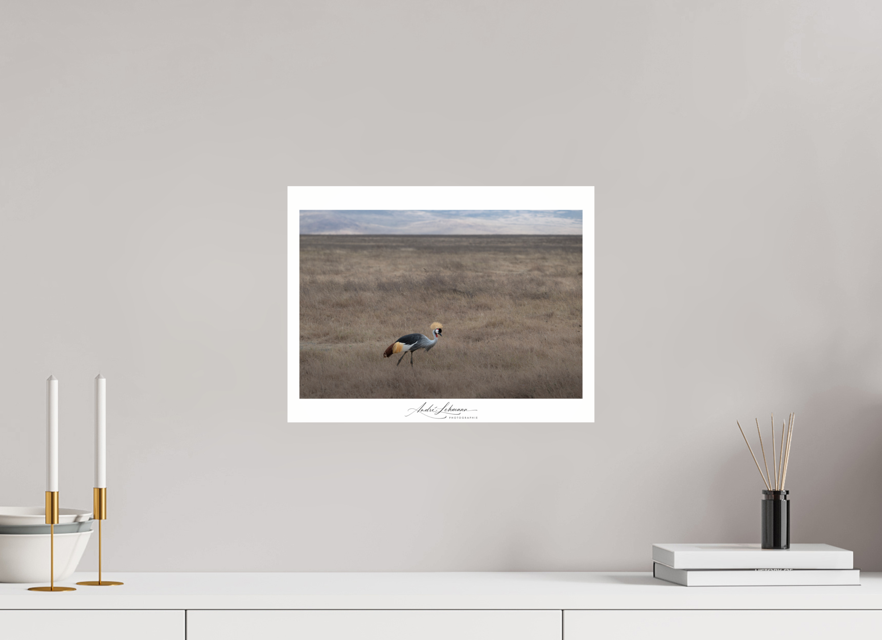 39 x 30 cm, Photo Print Under Acrylic Glass Grey Crowned Crane