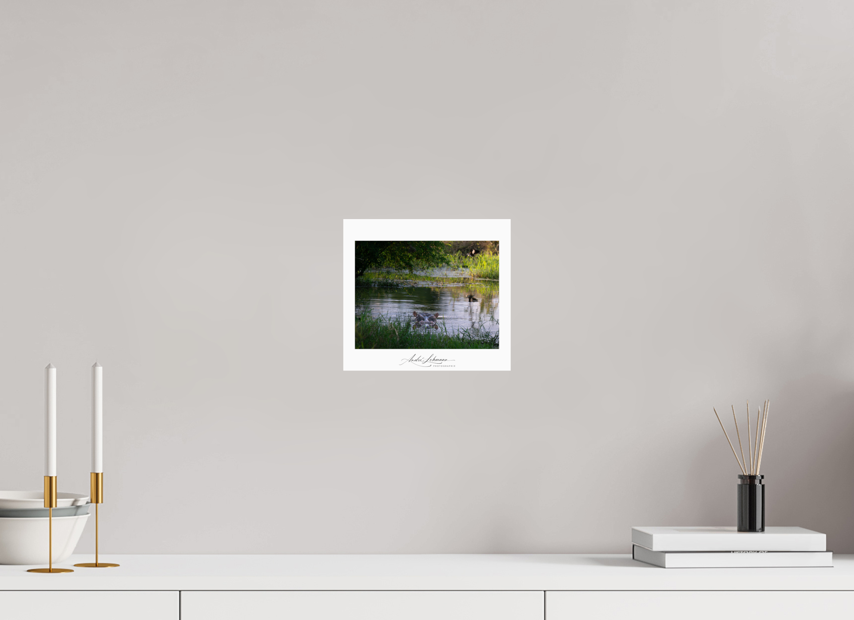 22.1 x 20 cm, Photo Print Under Acrylic Glass Hippo in the pond