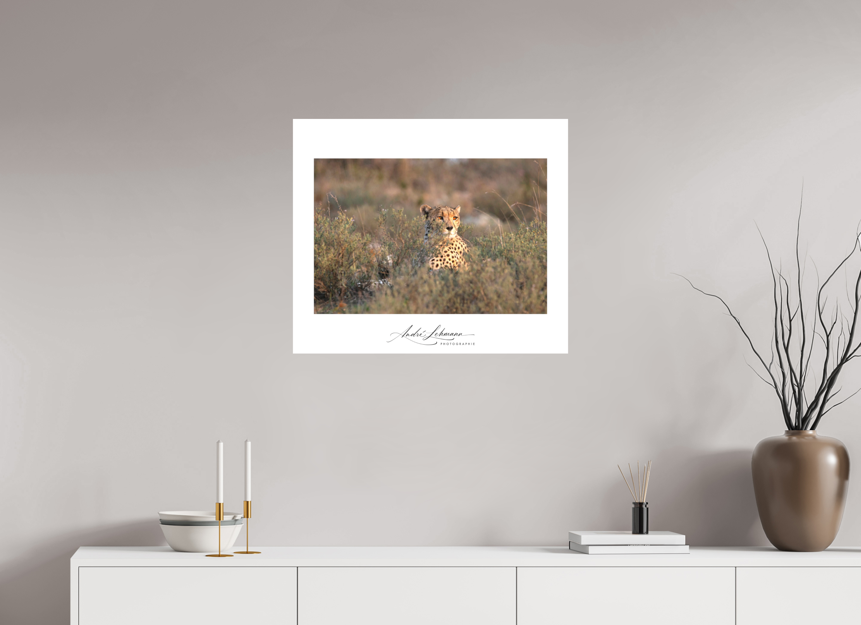 70.4 x 60 cm, Foto-Druck auf Alu-Dibond Cheetah in the grass