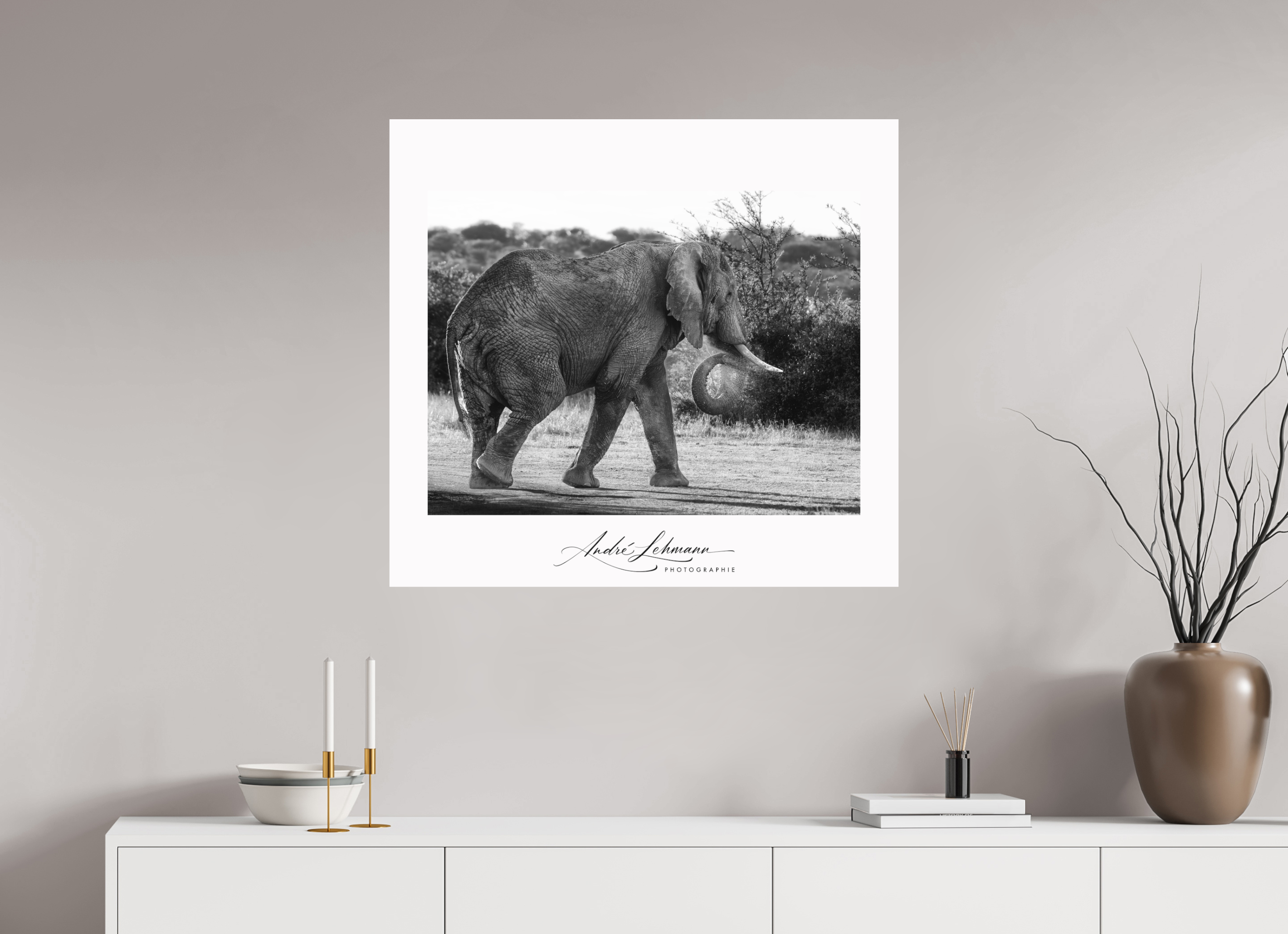 87.1 x 80 cm, Foto-Druck auf Alu-Dibond Elephant black and white (Alu dibond)