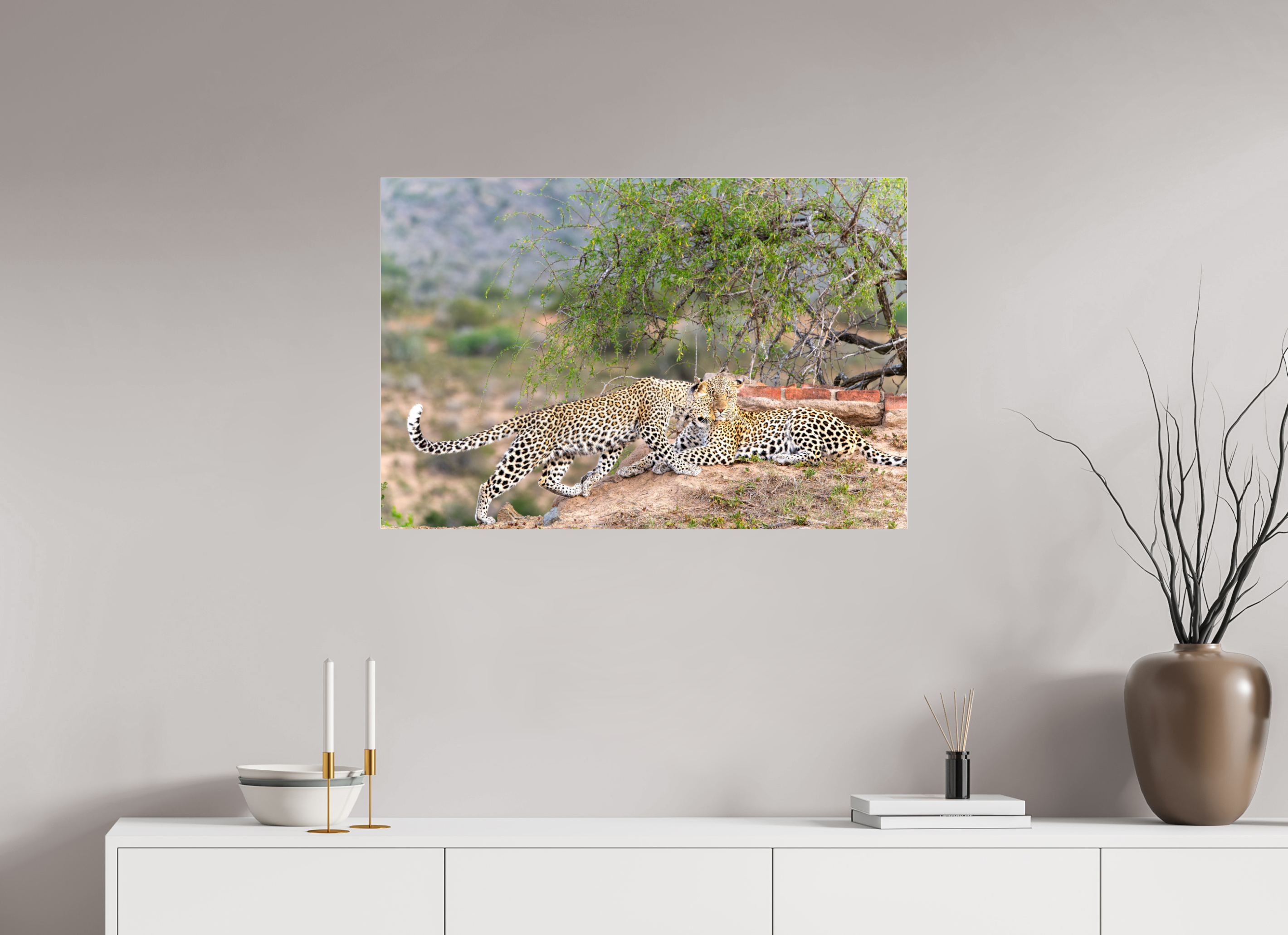 90 x 60 cm, Photo Print Under Acrylic Glass Two Leopards