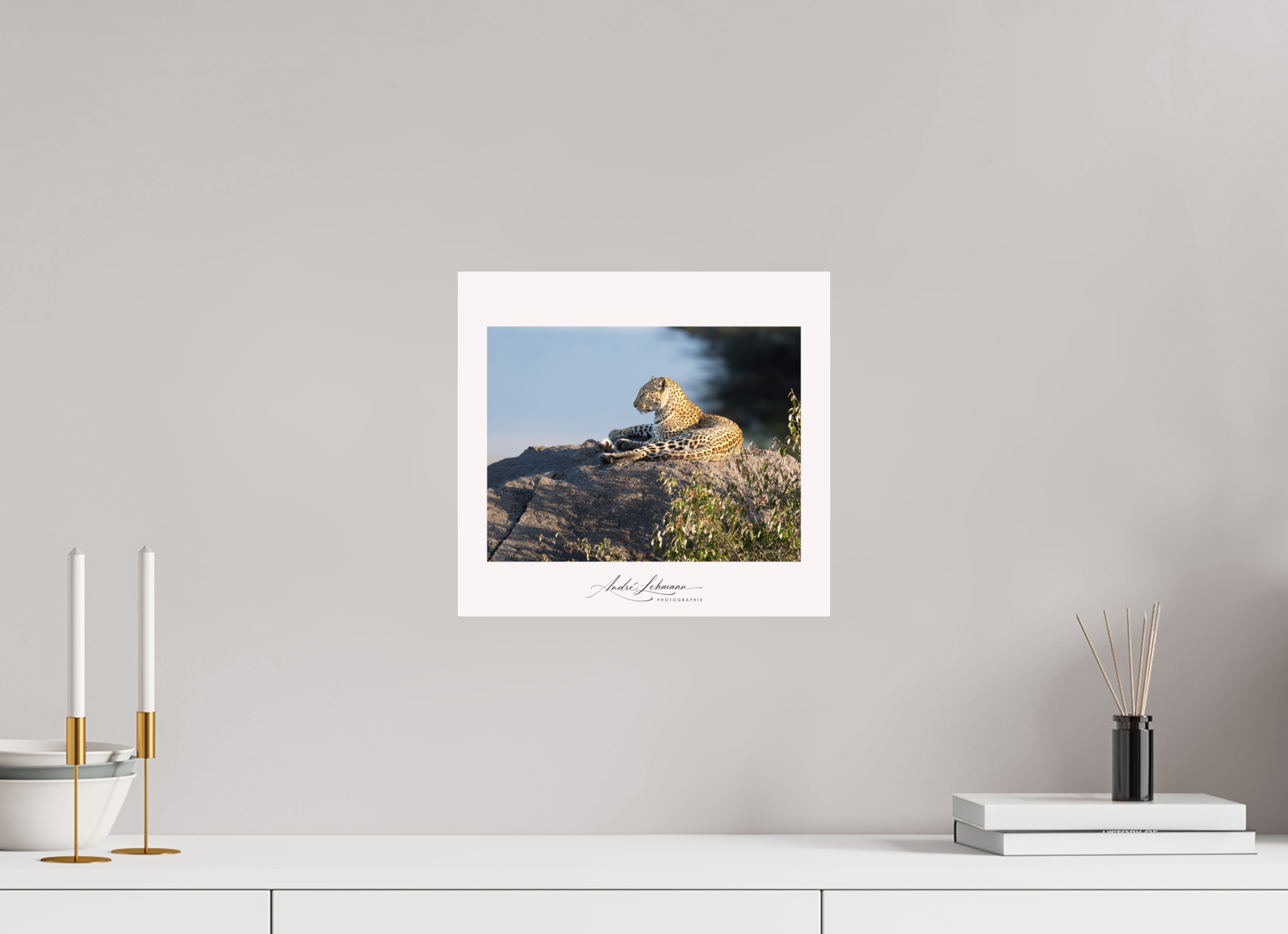 32.4 x 30 cm, Photo Print Under Acrylic Glass Leopard scanning the horizon